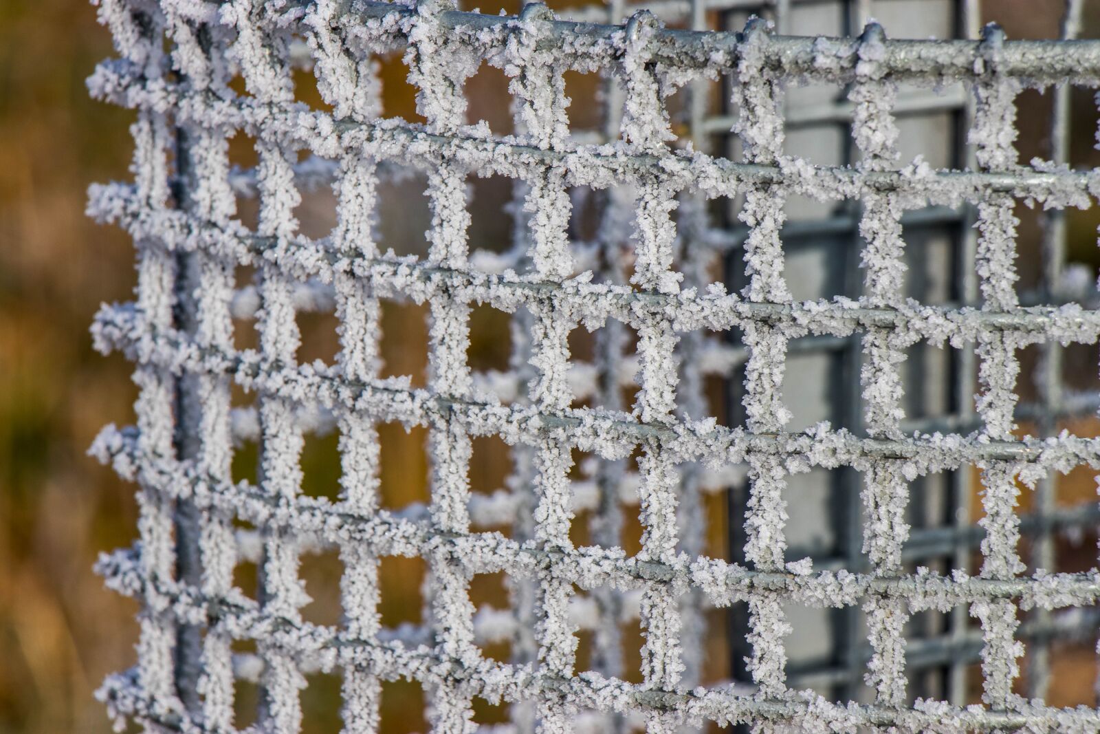 Canon EF-S 18-135mm F3.5-5.6 IS USM sample photo. Winter, ice, grid photography