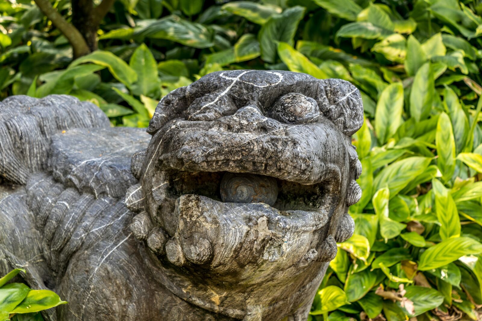 Canon EF-S 18-135mm F3.5-5.6 IS USM sample photo. Nature, singapore, travel photography