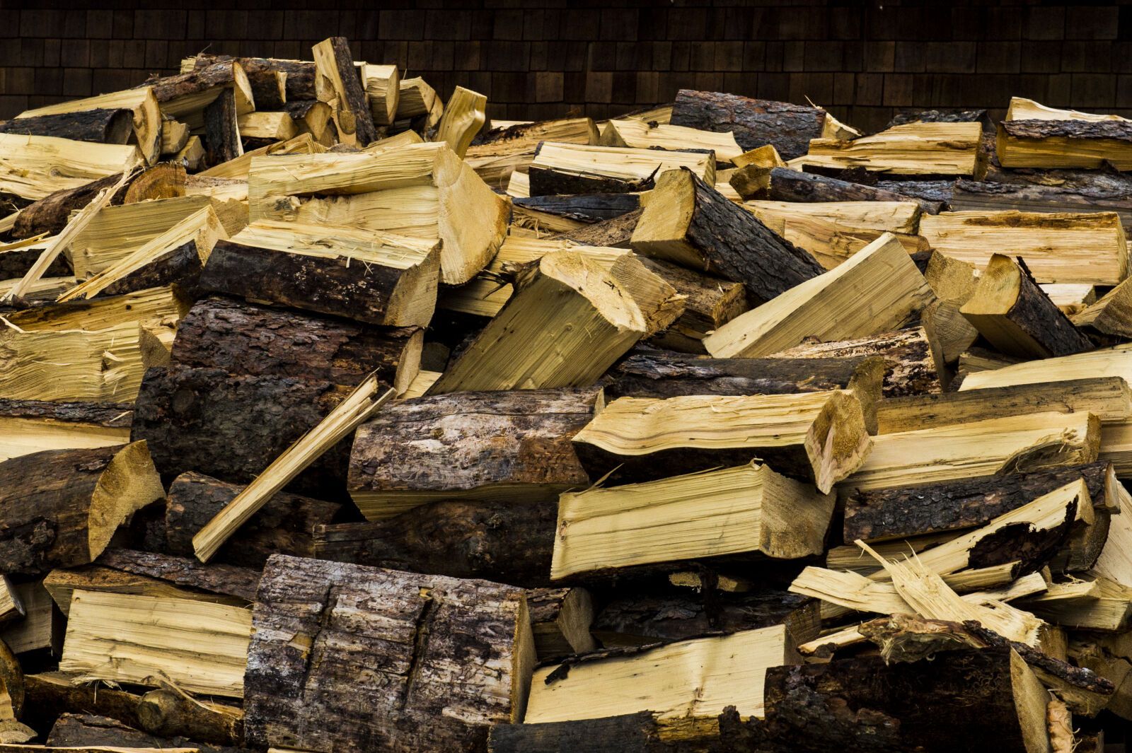 Nikon D3S sample photo. Chopped, fire, wood, timber photography