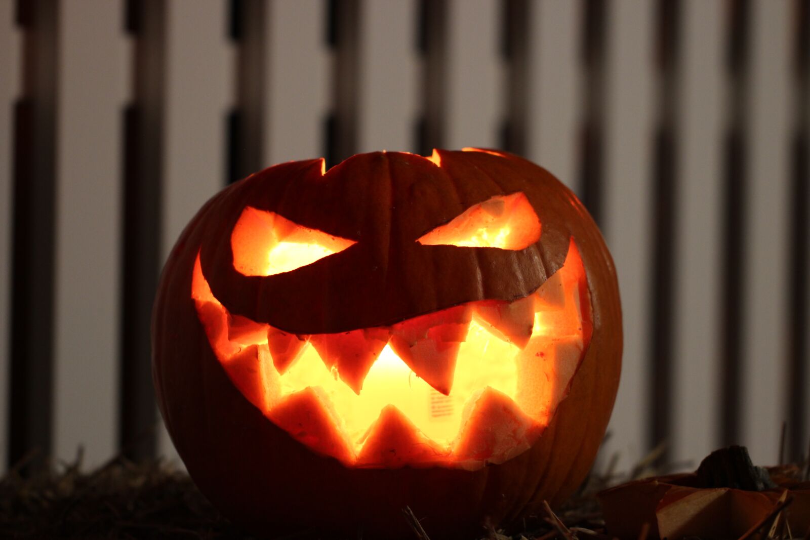 Canon EF 100mm F2.8L Macro IS USM sample photo. Pumpkin, halloween, frankenweenie photography