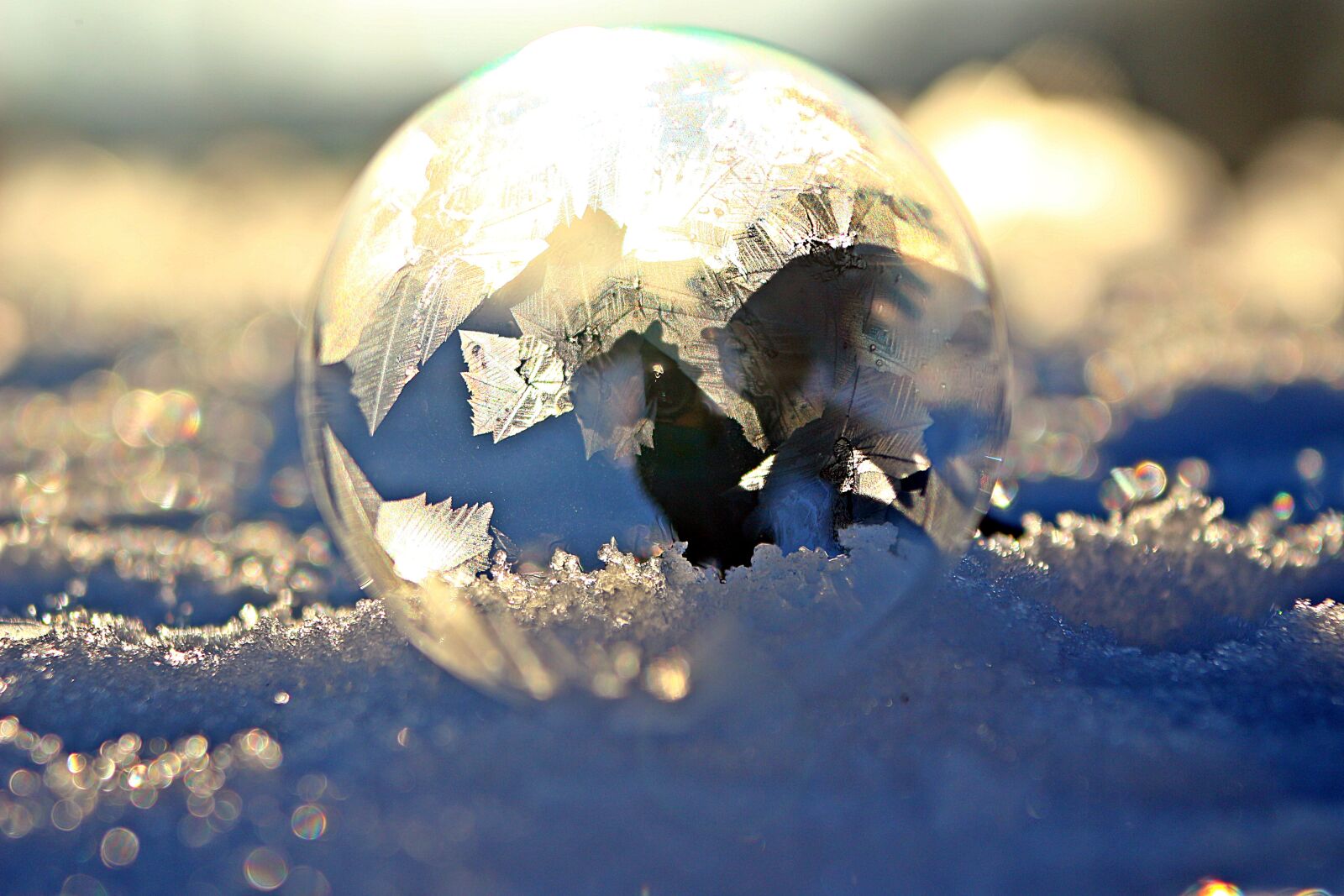 Canon EOS 100D (EOS Rebel SL1 / EOS Kiss X7) sample photo. Eiskristalle, soap bubble, snow photography