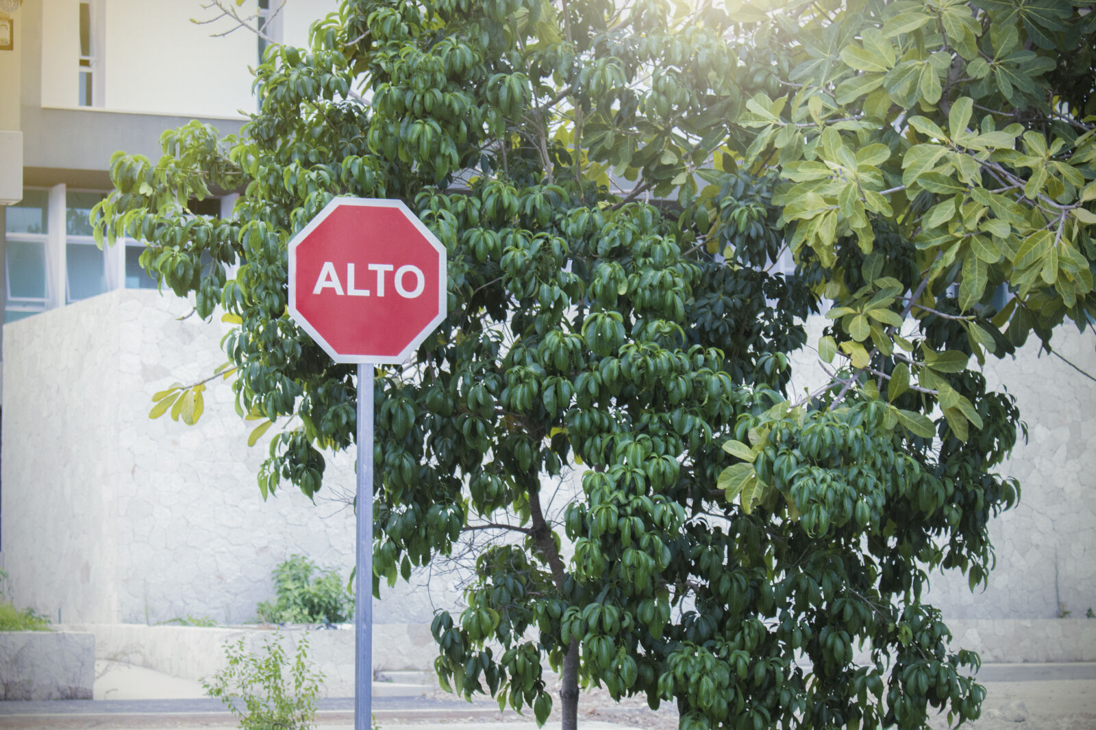 Canon EOS 700D (EOS Rebel T5i / EOS Kiss X7i) sample photo. Alto, espanish, senal, signo photography