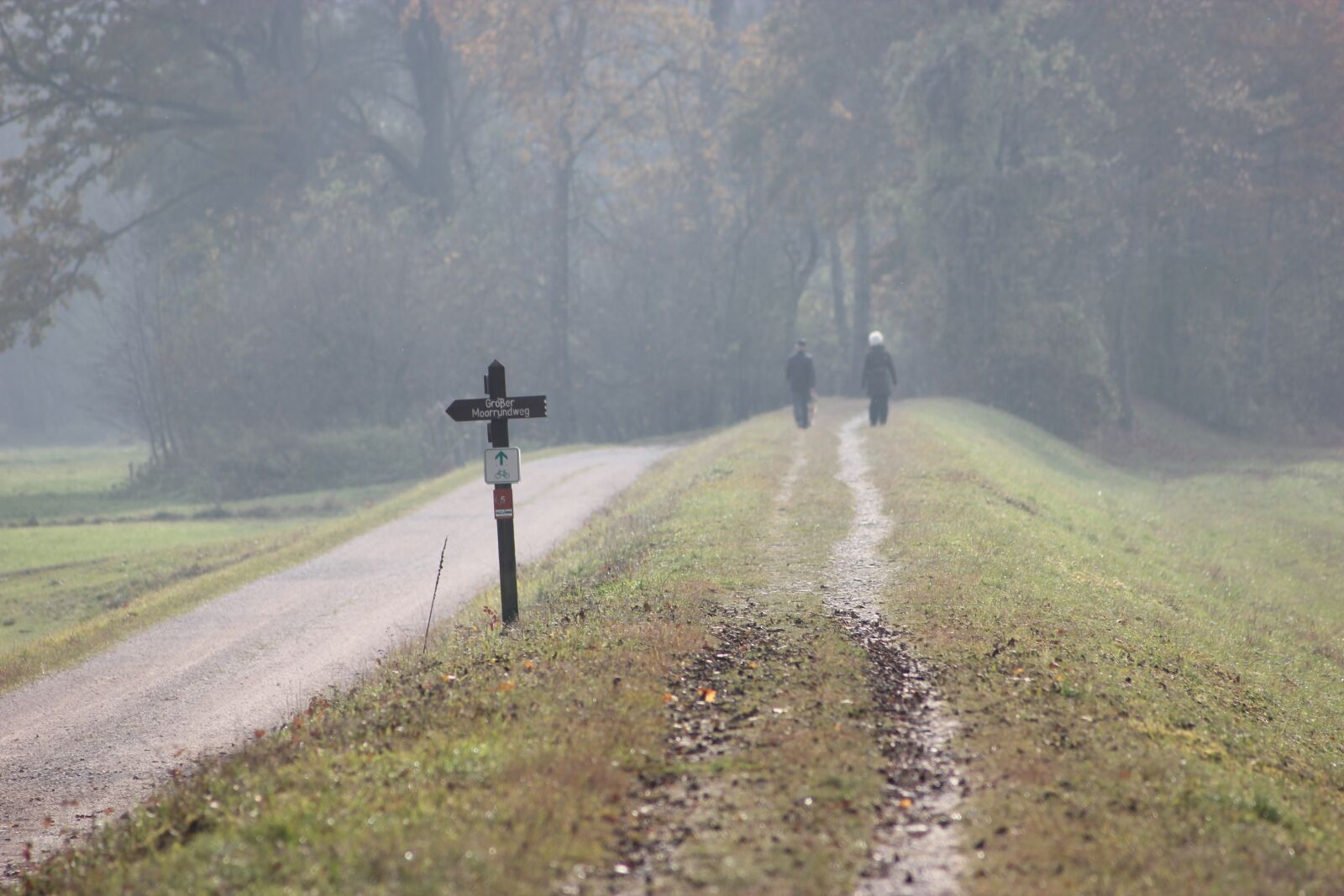 Canon EOS 550D (EOS Rebel T2i / EOS Kiss X4) sample photo. Moor, moorland, lane photography