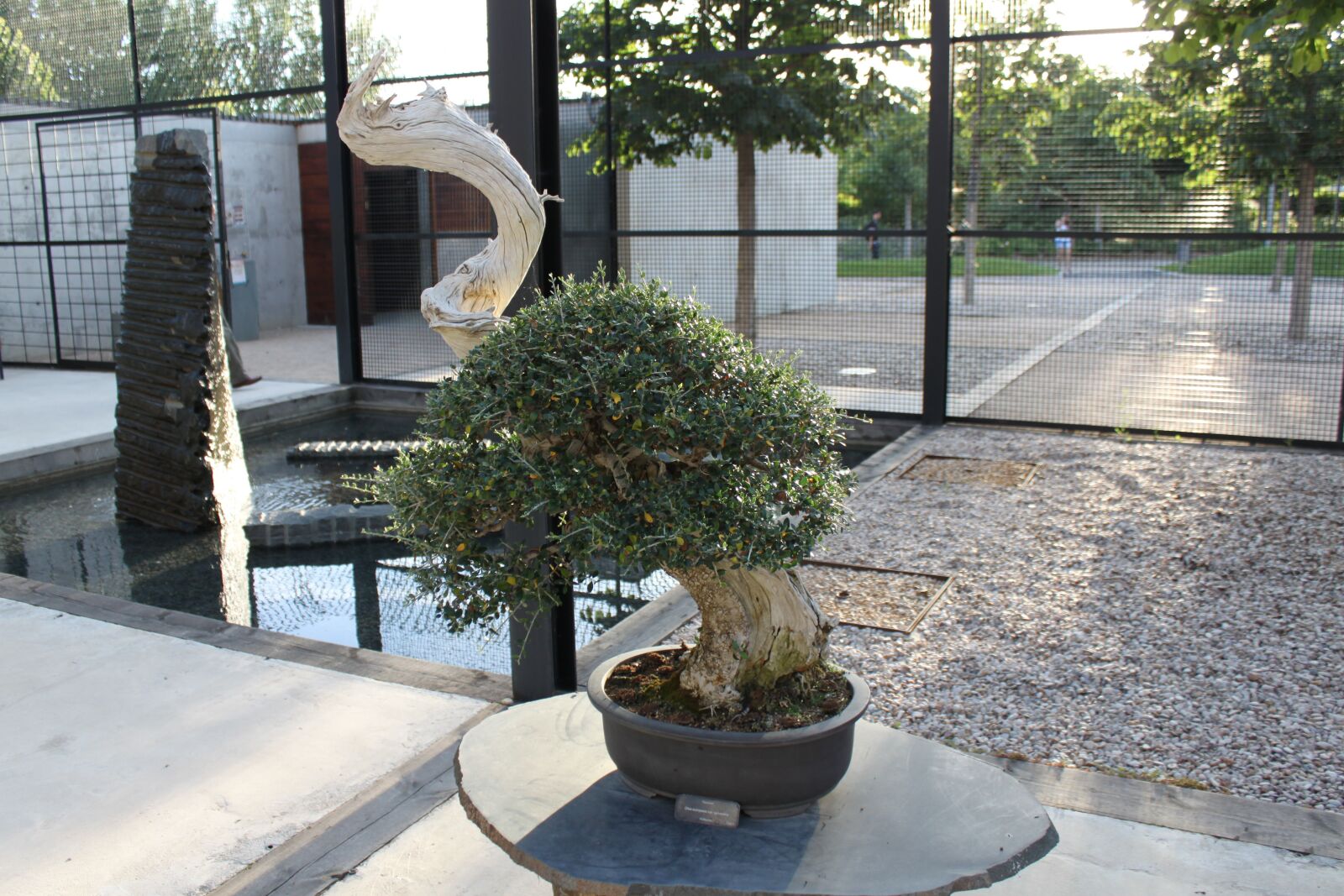 Canon EOS 500D (EOS Rebel T1i / EOS Kiss X3) sample photo. Bonsai, a restful night's photography