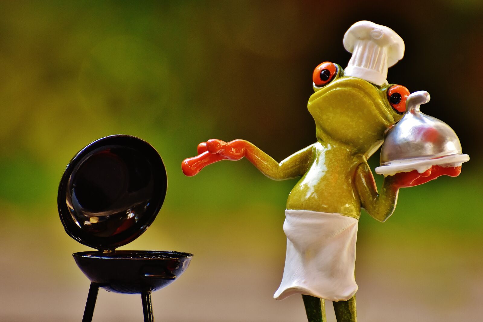 Nikon D7200 sample photo. Frog, cooking, grill photography