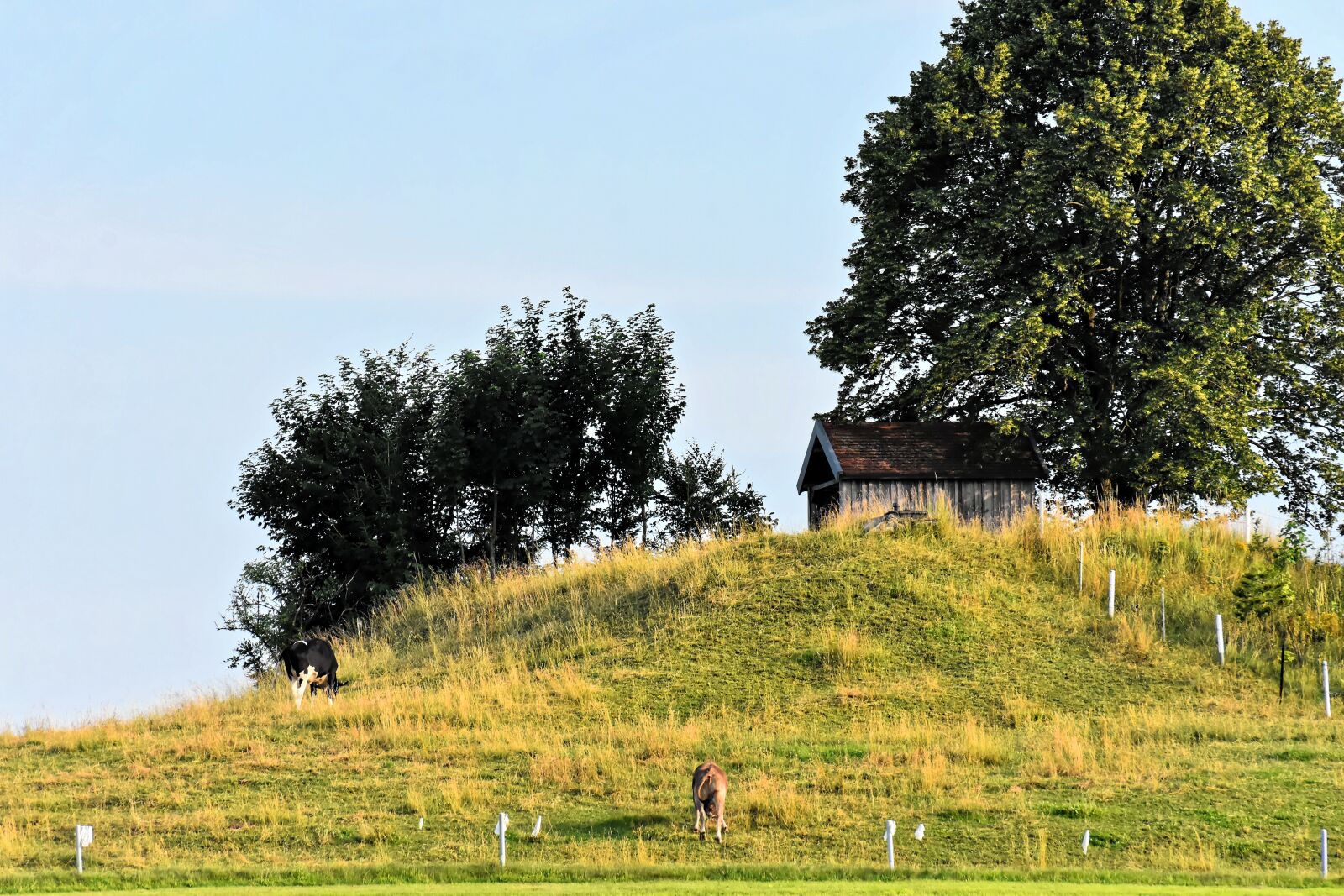 Nikon D7200 sample photo. Landscape, pasture, idyll photography