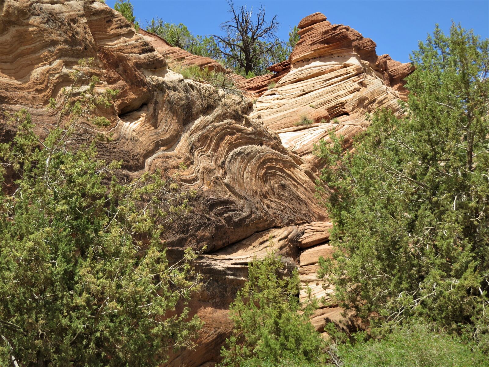 Canon PowerShot SX50 HS sample photo. Hiking, geology, rock strata photography