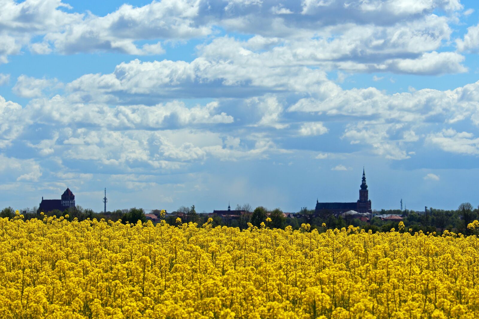 Canon EF-S 55-250mm F4-5.6 IS STM sample photo. Greifswald, view, port city photography