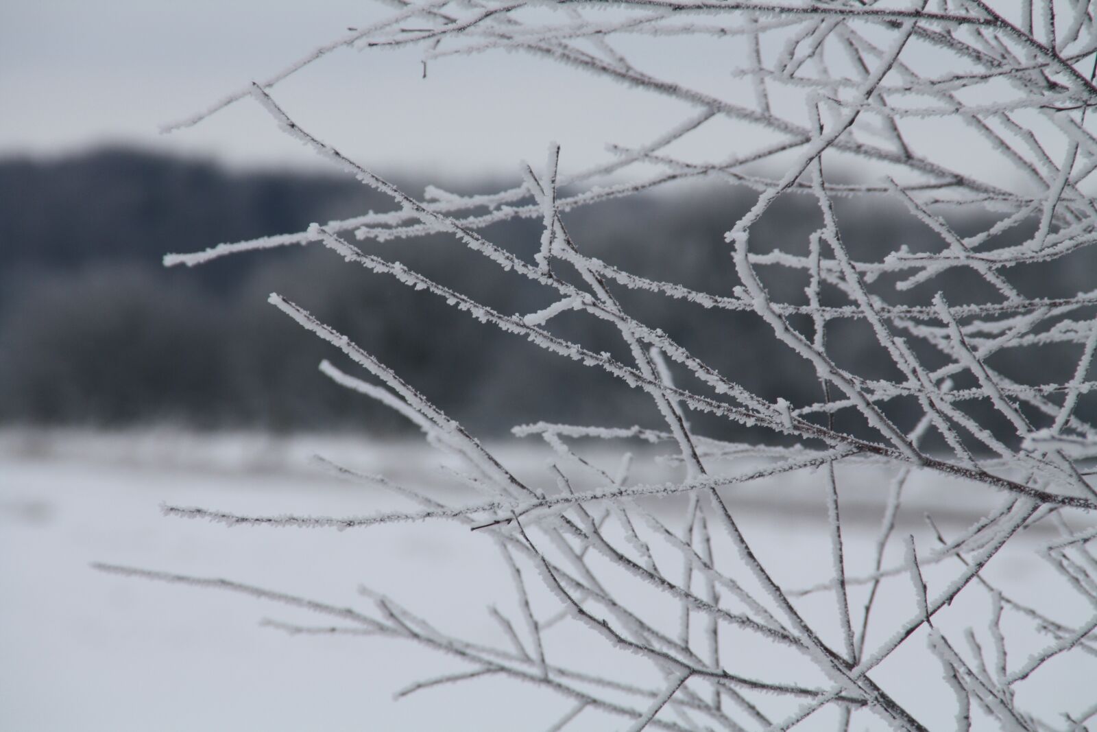 Canon EOS 1000D (EOS Digital Rebel XS / EOS Kiss F) sample photo. Winter, snow, cold photography