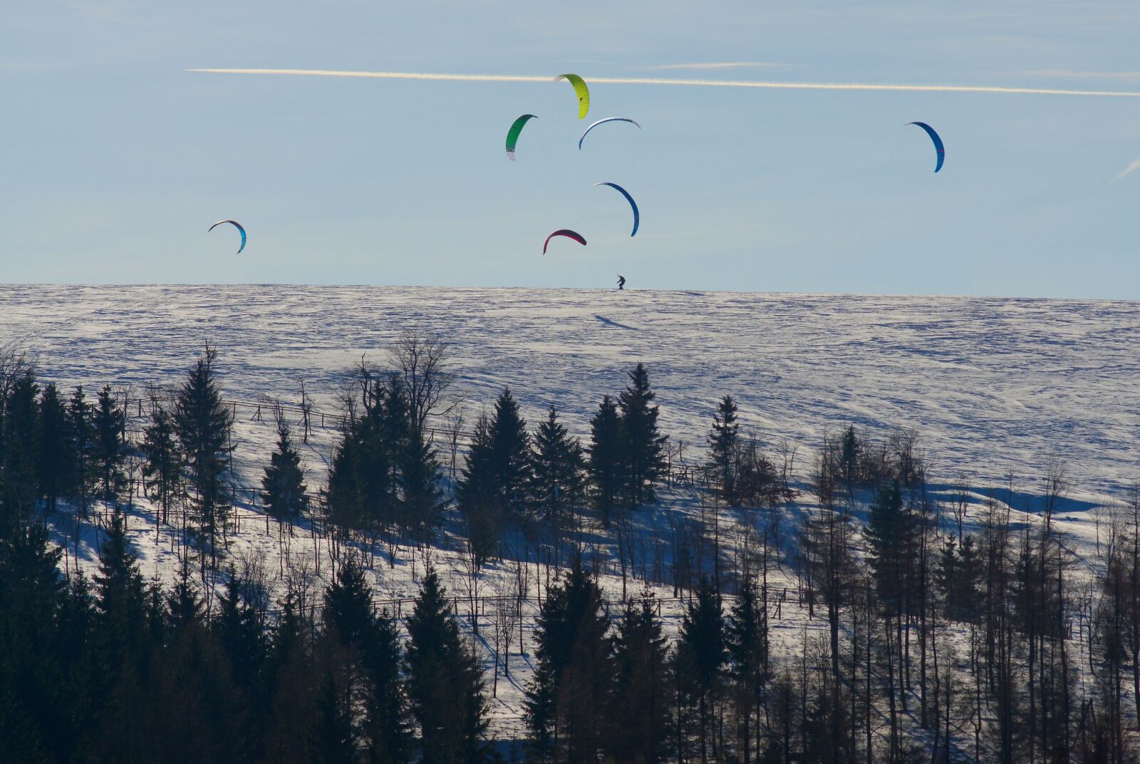 Sony ILCA-77M2 + Minolta AF 200mm F2.8 HS-APO G sample photo. Winter, snow, forest photography