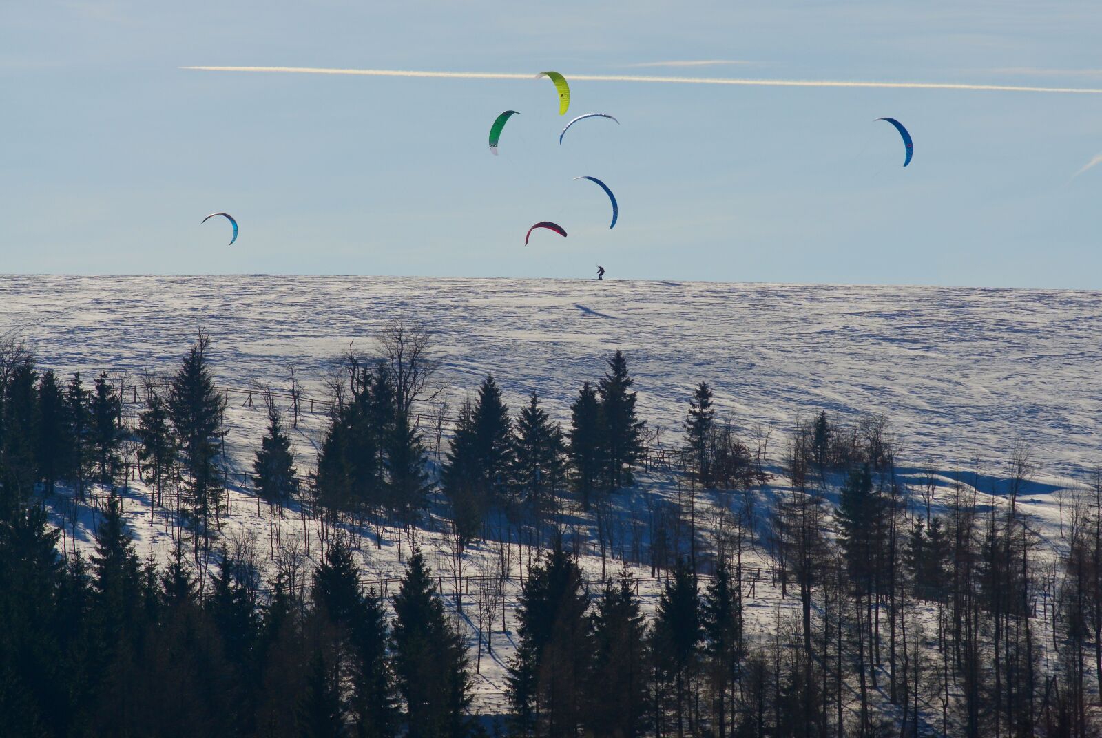 Minolta AF 200mm F2.8 HS-APO G sample photo. Winter, snow, forest photography