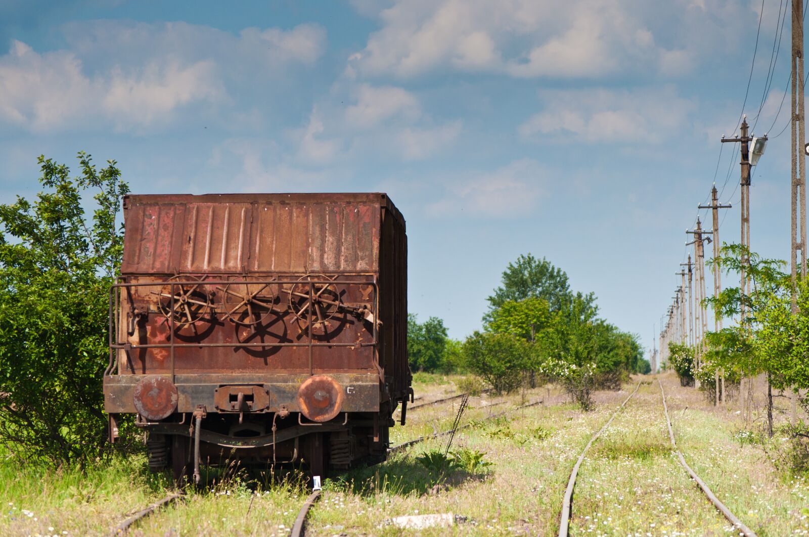 Nikon D5000 sample photo. Depot, train, railroad photography