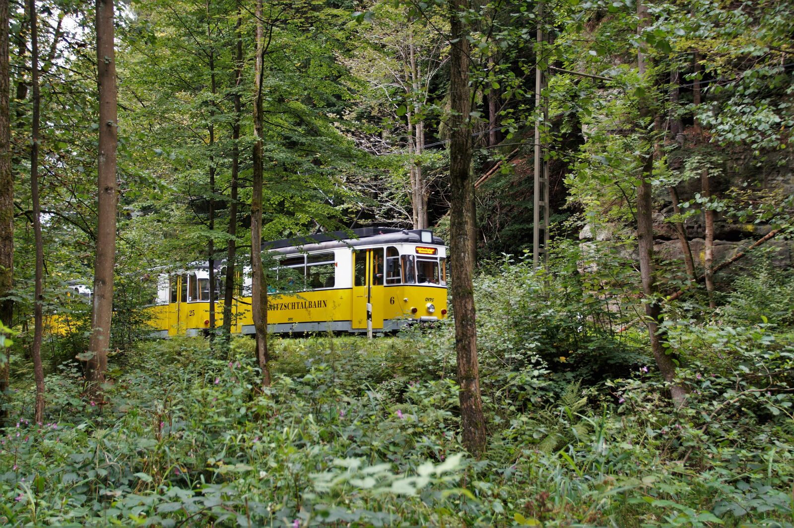 Sony SLT-A58 sample photo. The tram, bad schandau photography