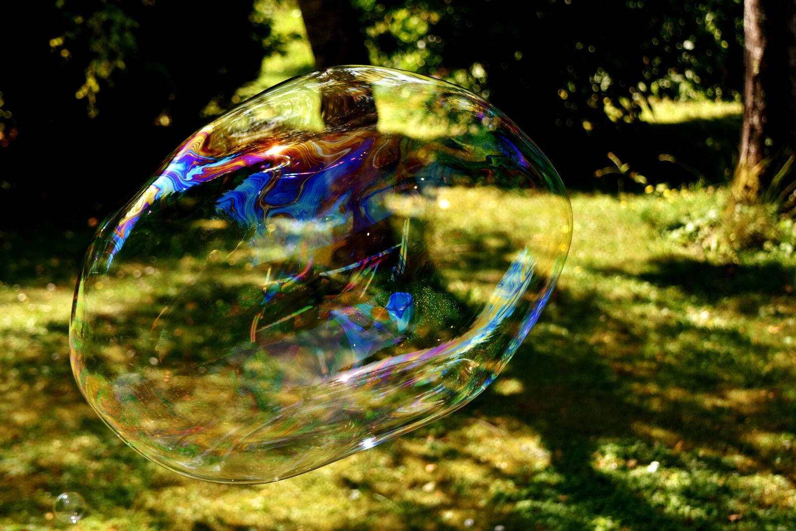 Nikon D7200 sample photo. Soap bubble, huge, large photography
