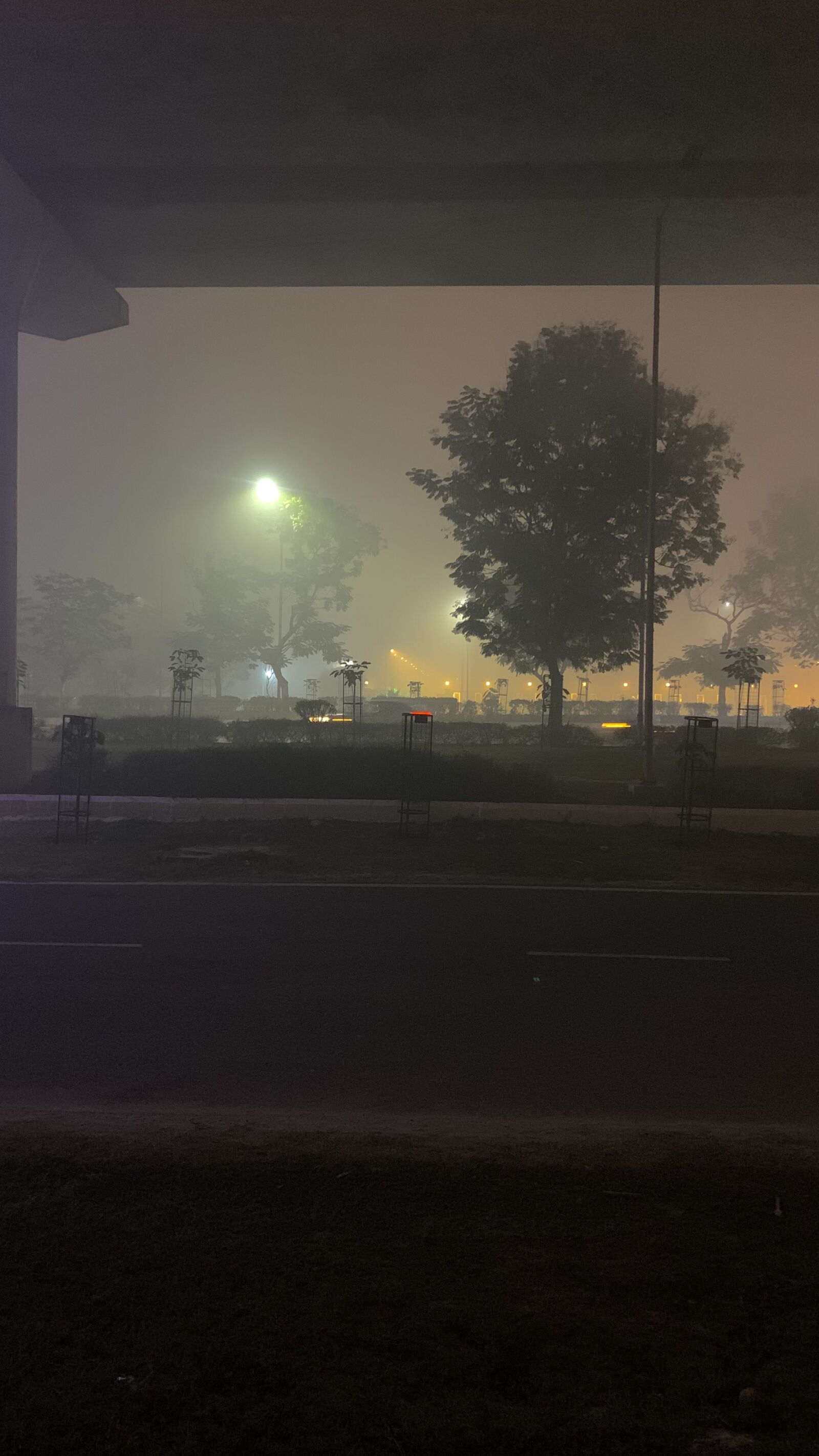 Apple iPhone XR sample photo