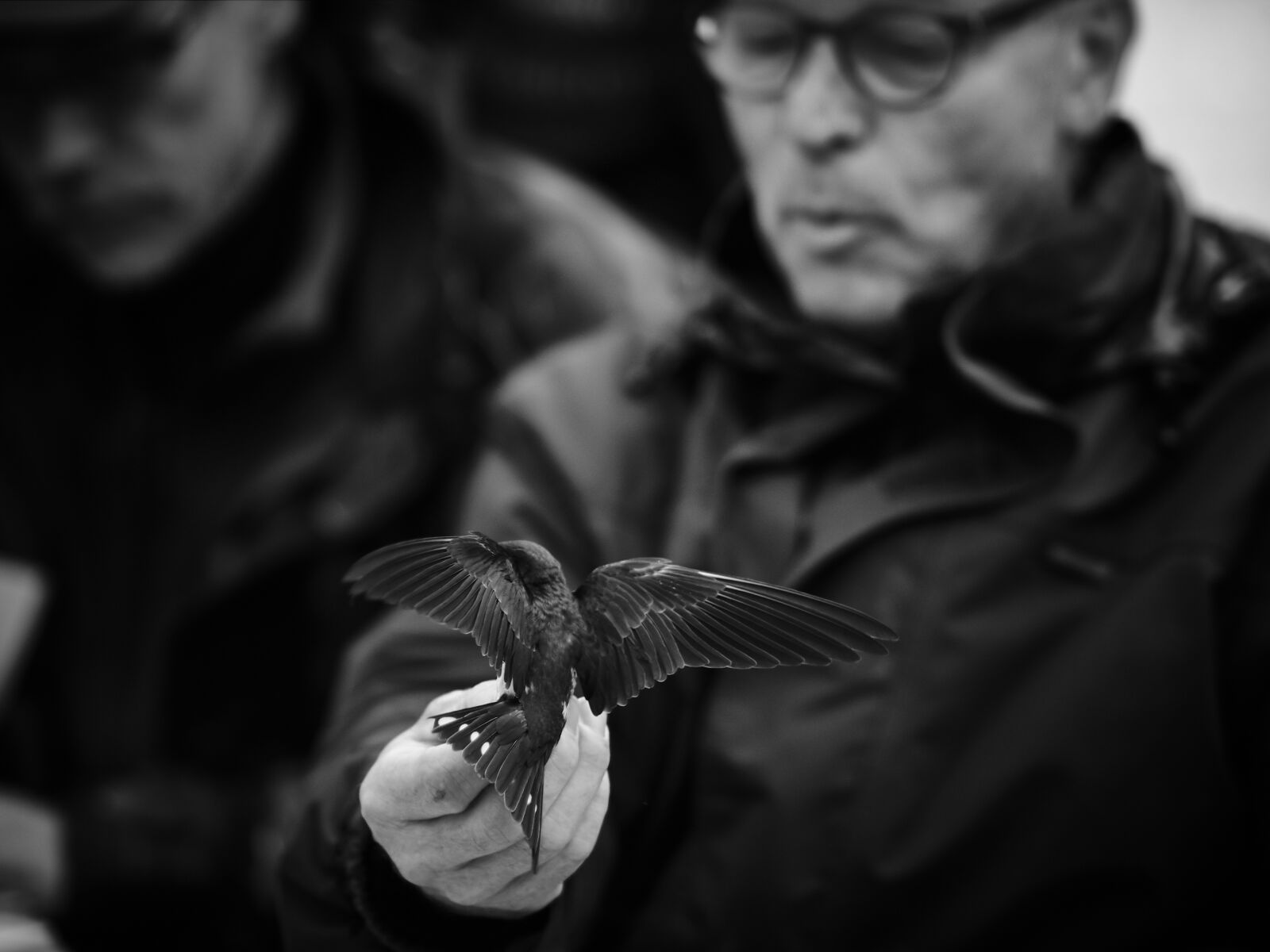 Fujifilm X-T1 sample photo. Portrait, man, swallow photography