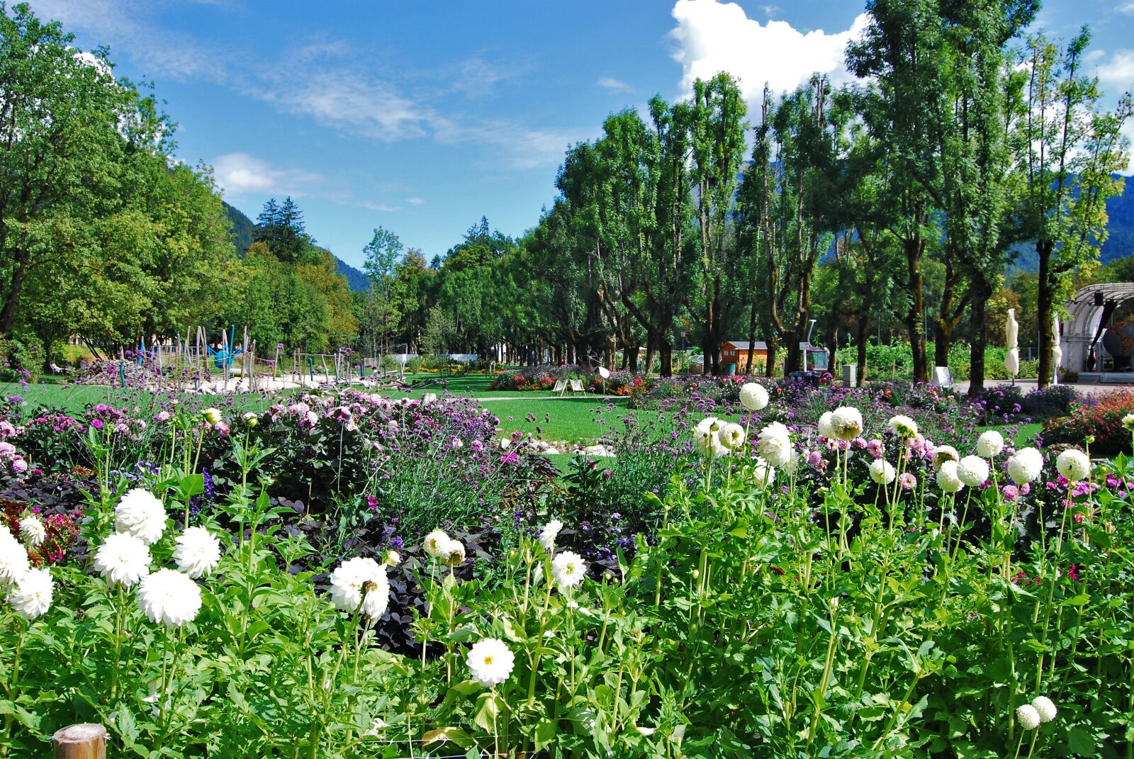 Nikon D80 sample photo. Bad ischl, salzkammergut, garden photography