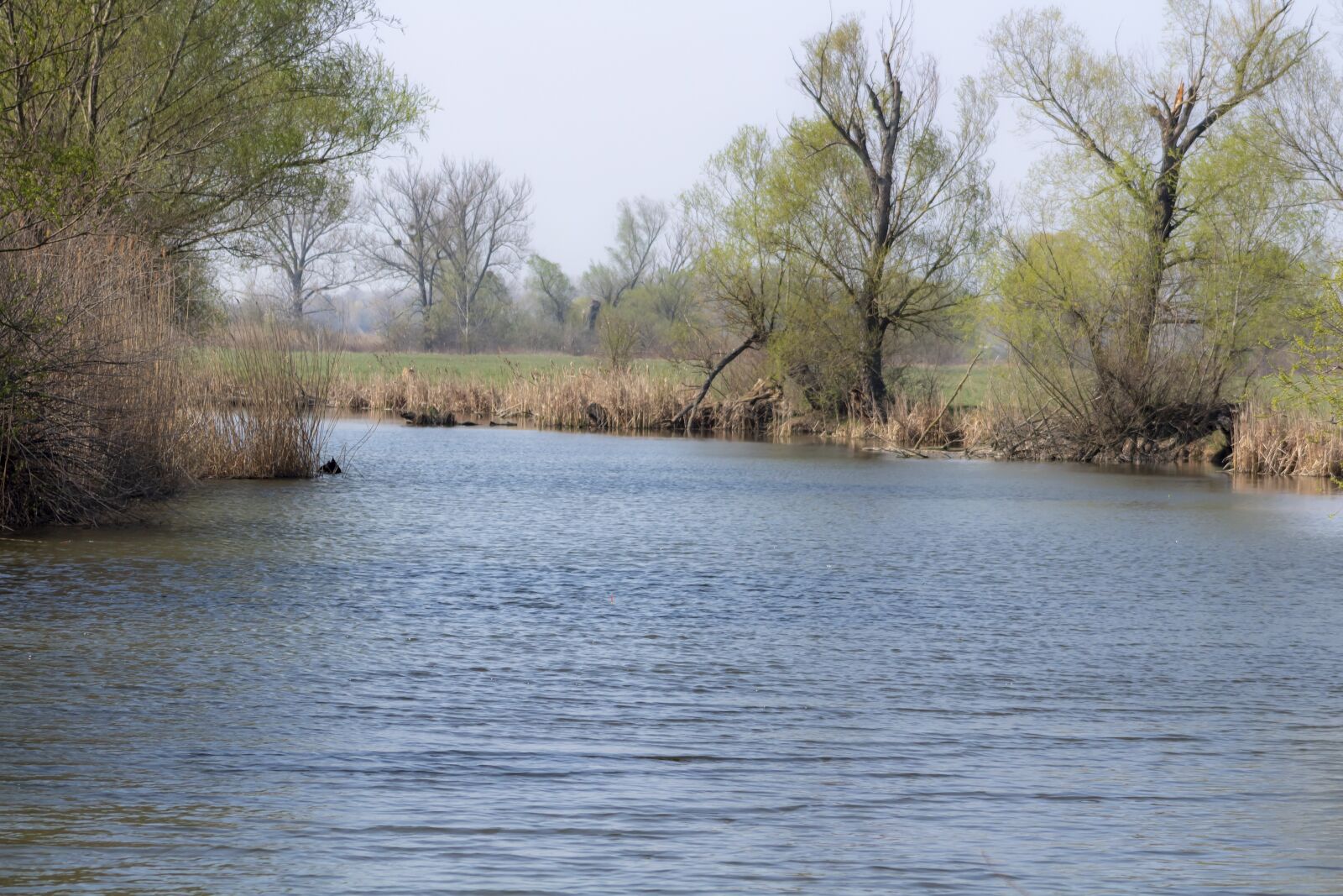 Canon EF75-300mm f/4-5.6 sample photo. Landscape, river, water photography
