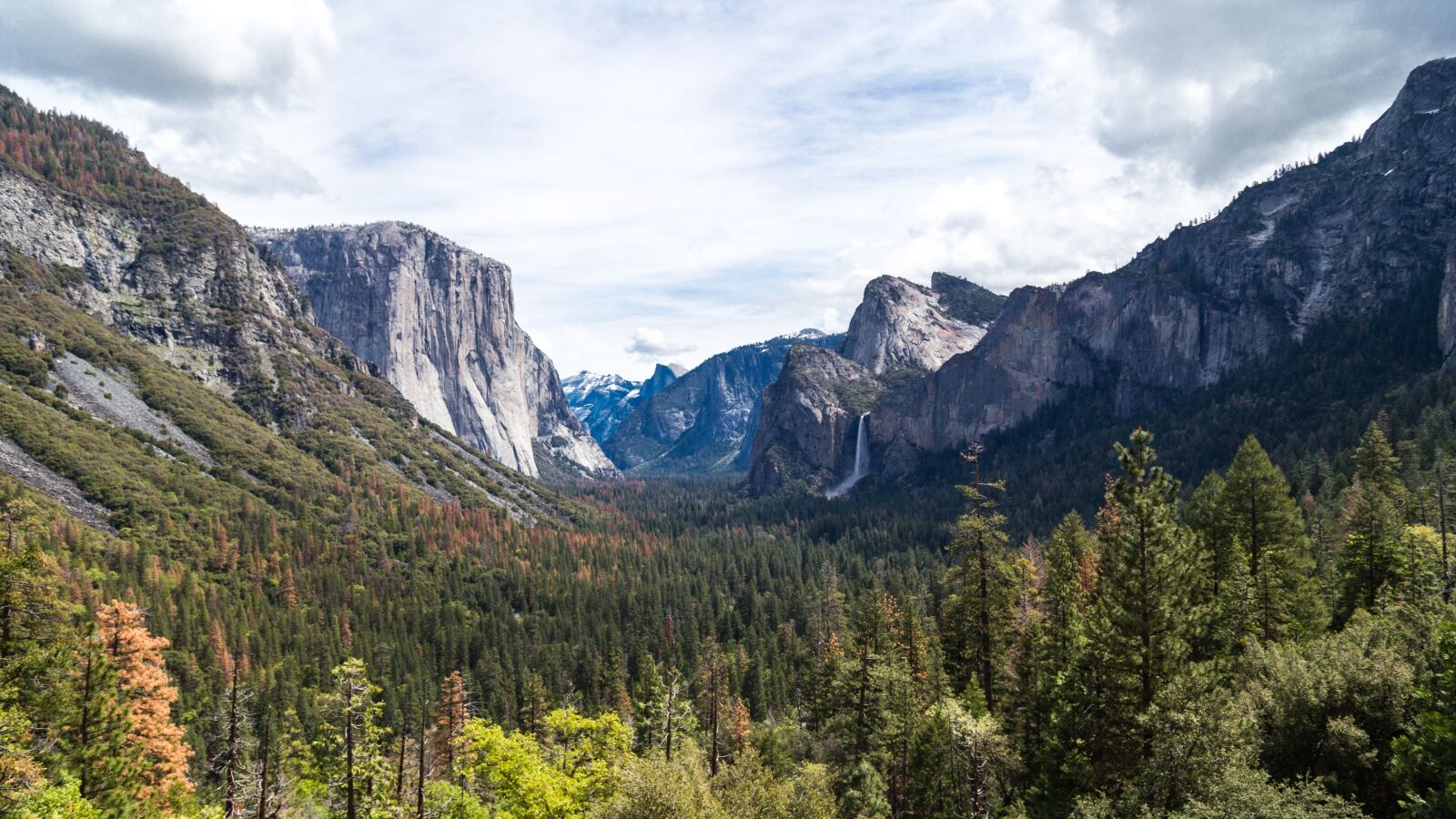 Canon EOS 6D + Canon EF 24-105mm F4L IS USM sample photo. Clouds, forest, landscape photography