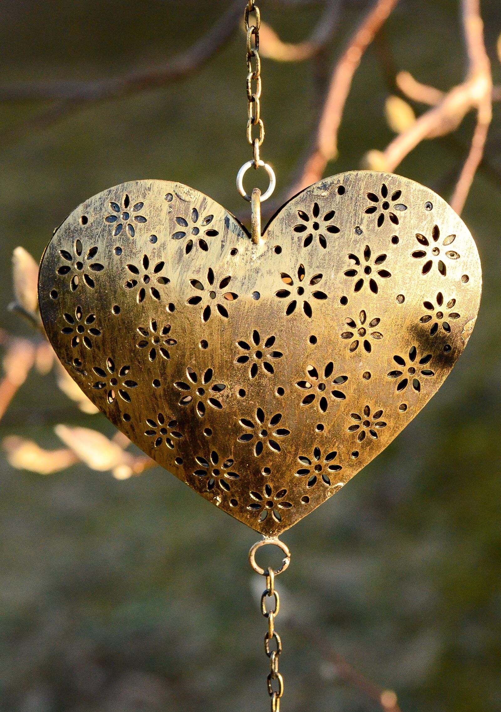 Nikon D7000 sample photo. Heart, decor, chain photography