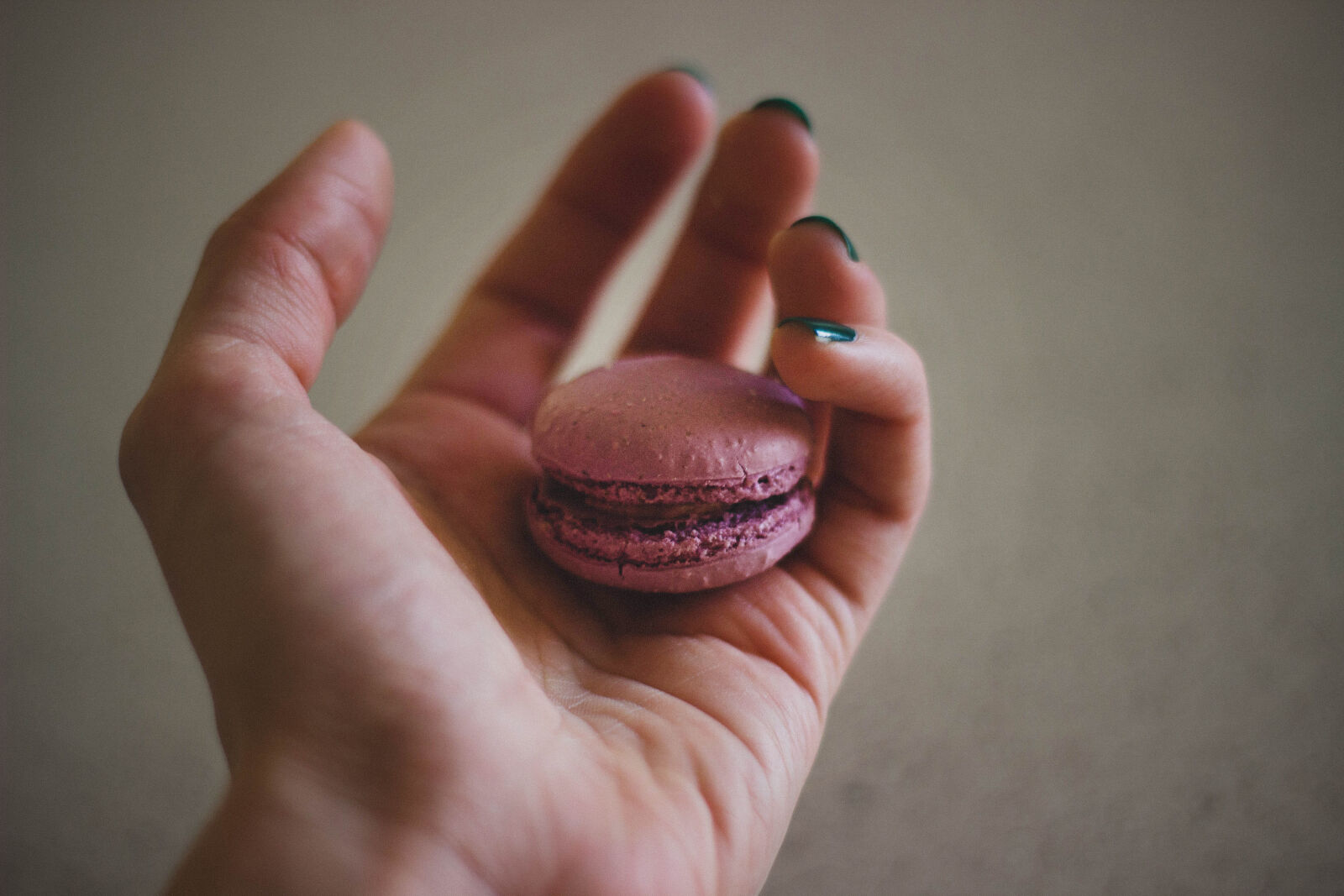 Canon EF 50mm F1.8 II sample photo. Pink, baked, biscuit photography
