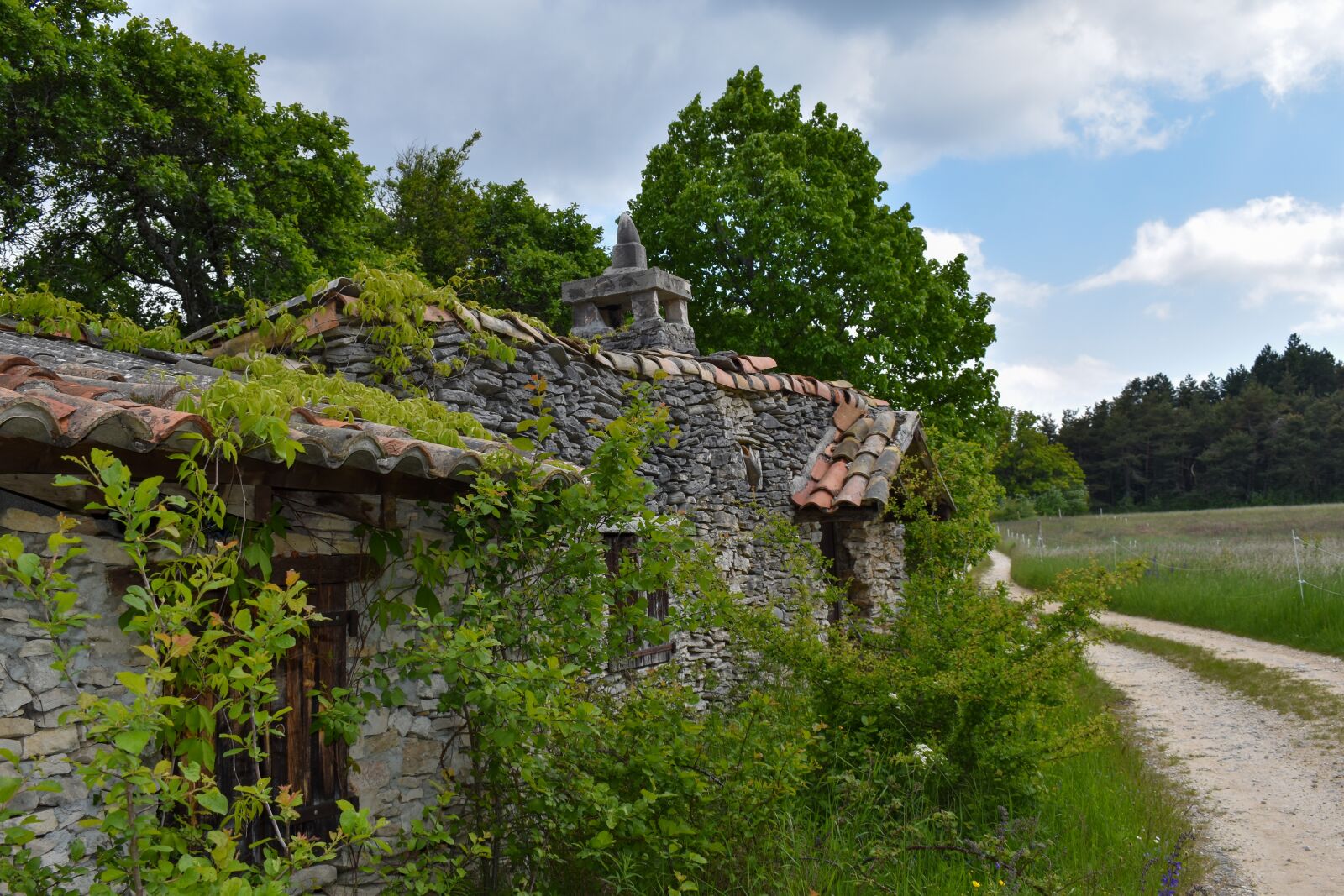 Nikon D5600 sample photo. Ruin, ruins, old photography