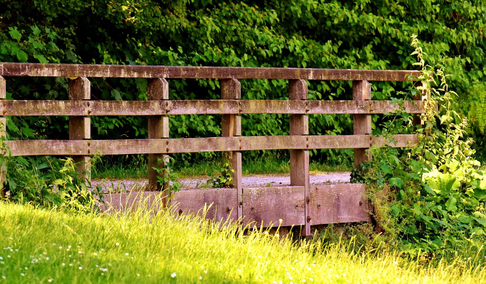 Nikon D7200 sample photo. Bridge, bach, park photography