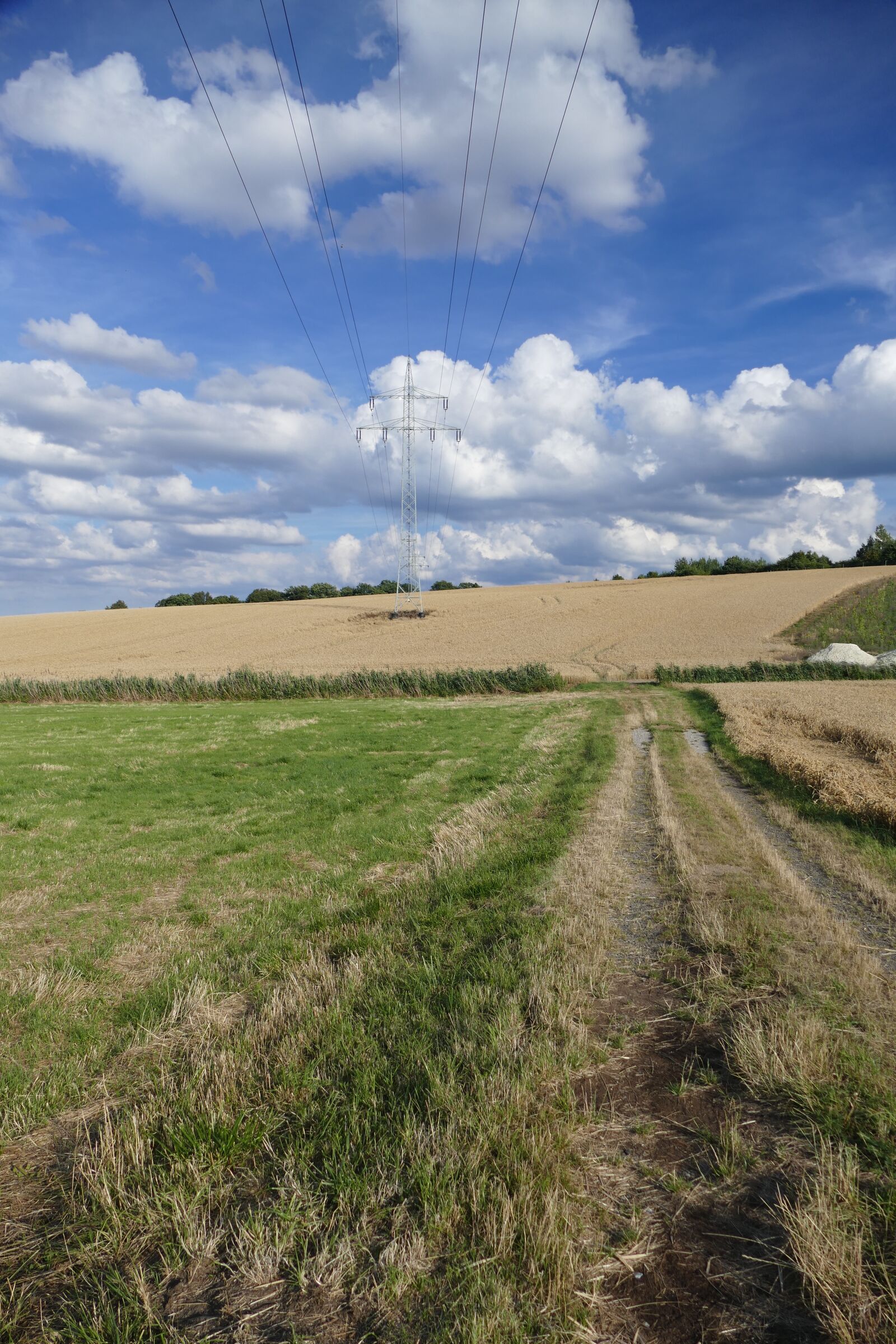 Panasonic Lumix DMC-FZ1000 sample photo. Nature, vision, power lines photography