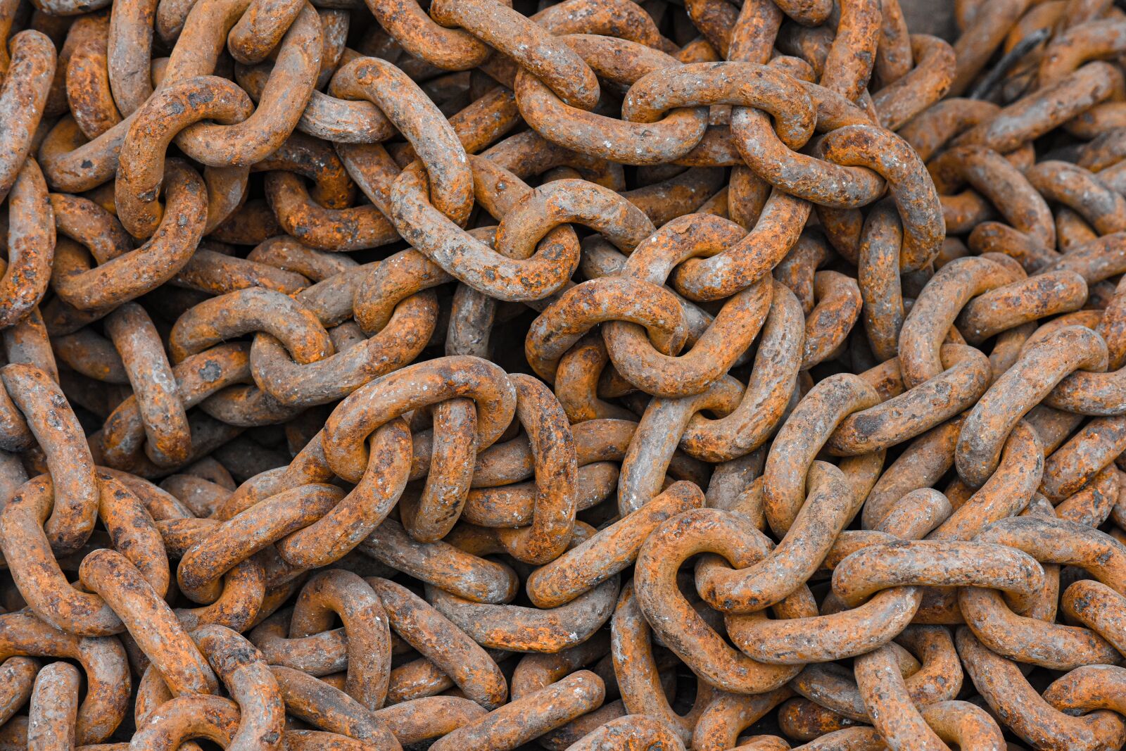 Nikon D7200 sample photo. Necklace, rust, iron photography