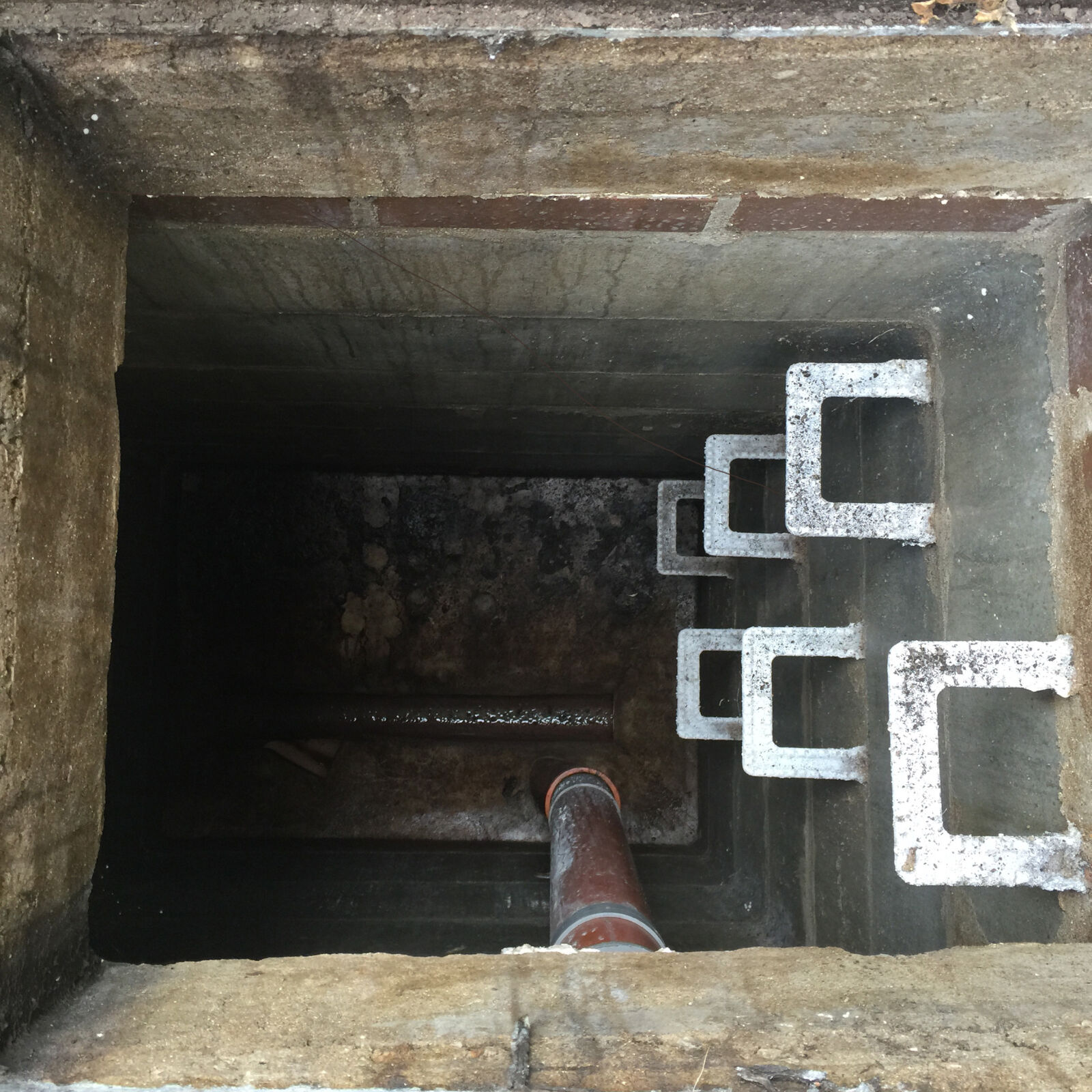 iPhone 6 Plus back camera 4.15mm f/2.2 sample photo. Blocked, drain, drains, pest photography