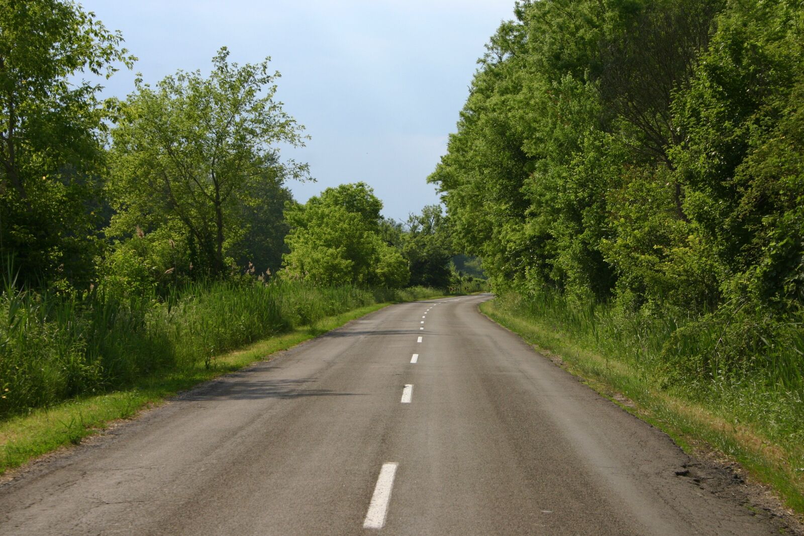 Canon EOS 300D (EOS Digital Rebel / EOS Kiss Digital) sample photo. Road, nature, trees photography