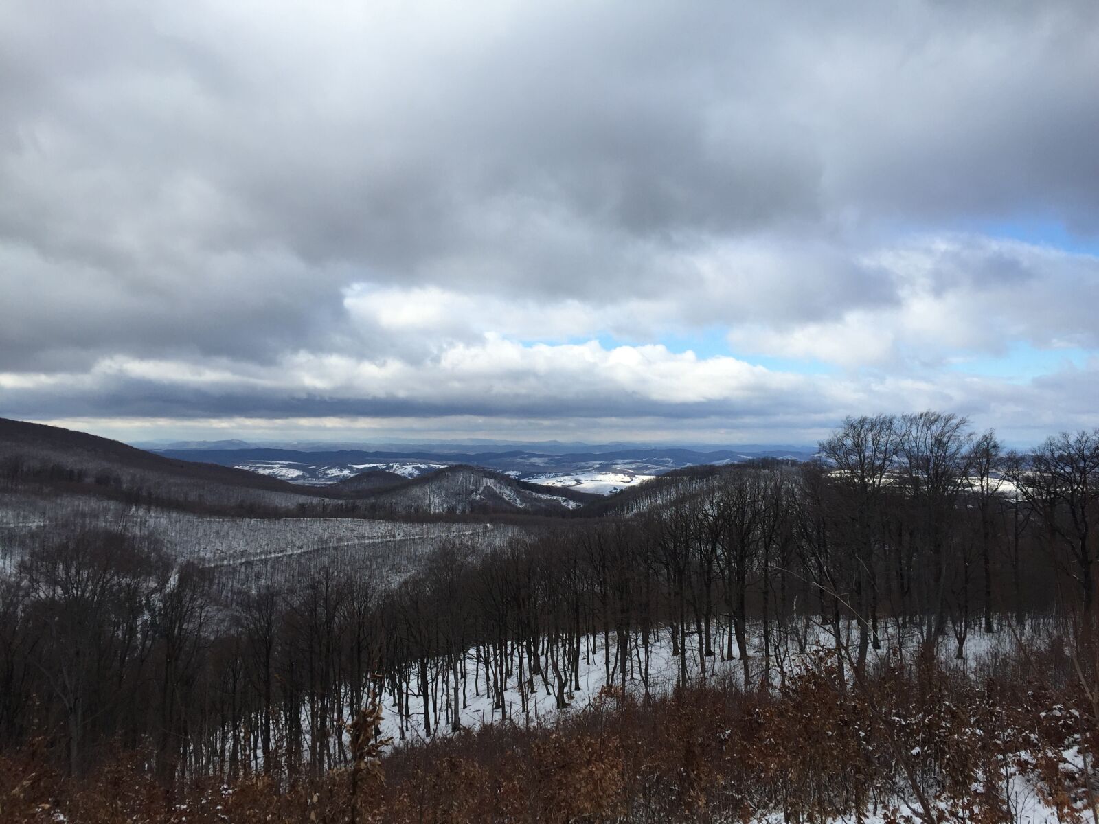 iPhone 6 back camera 4.15mm f/2.2 sample photo. Winter, hungary, forest photography