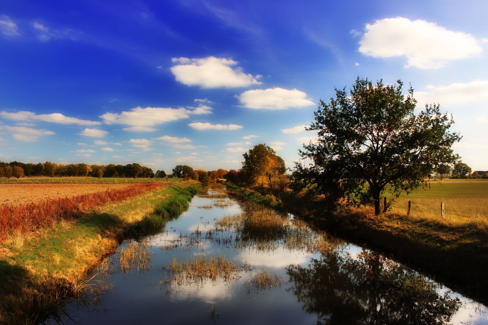 Canon EOS 1300D (EOS Rebel T6 / EOS Kiss X80) sample photo. River, all, northern germany photography