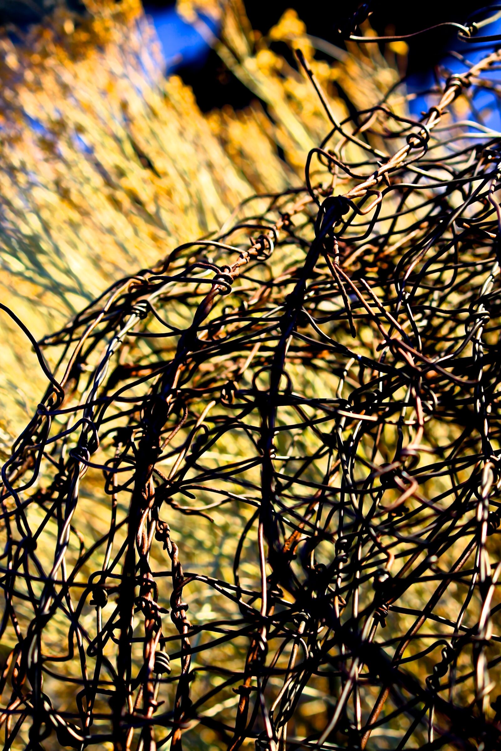 Canon EOS 7D sample photo. Barbed wire, farm, san photography