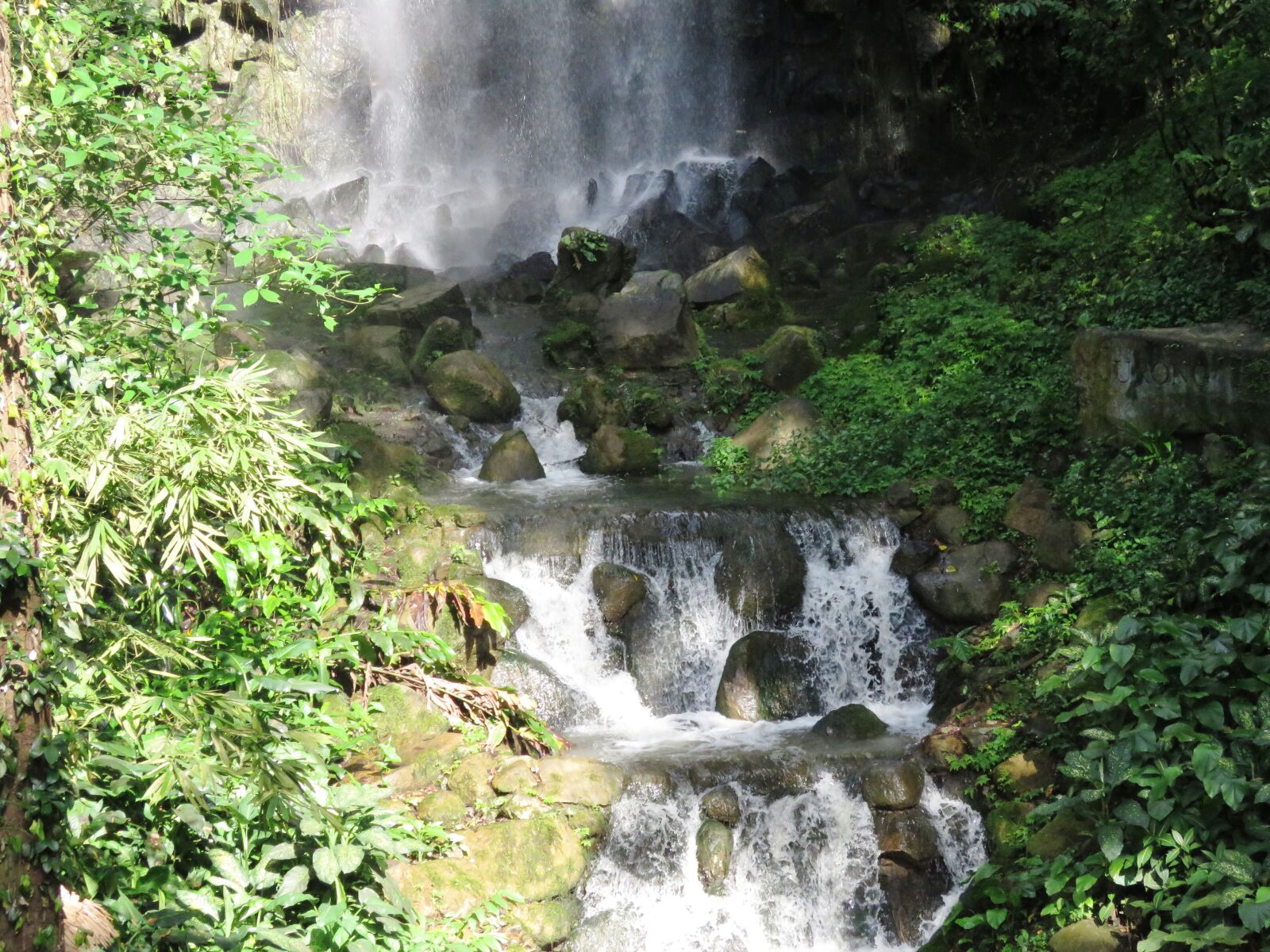 Canon PowerShot SX60 HS sample photo