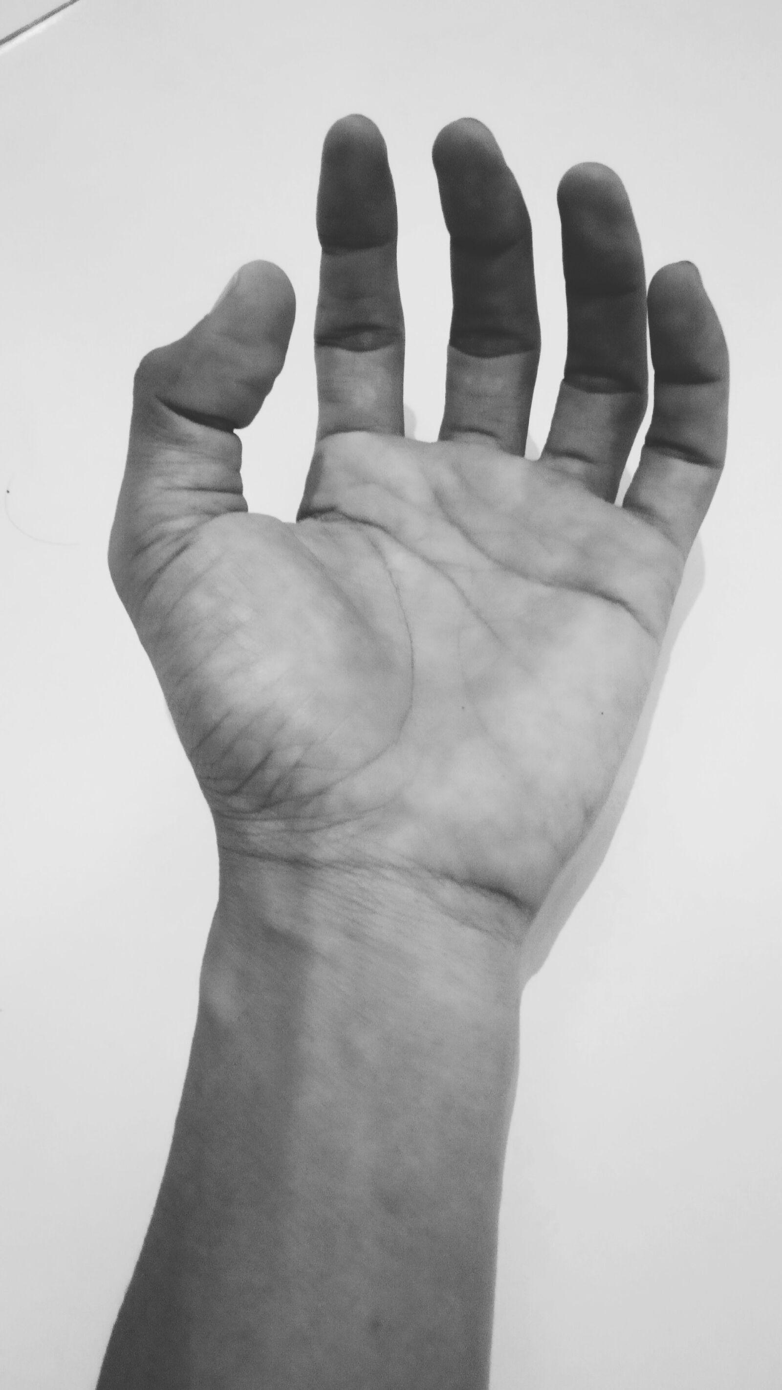 Xiaomi Redmi 6A sample photo. Hopeful, hands, philosophy photography