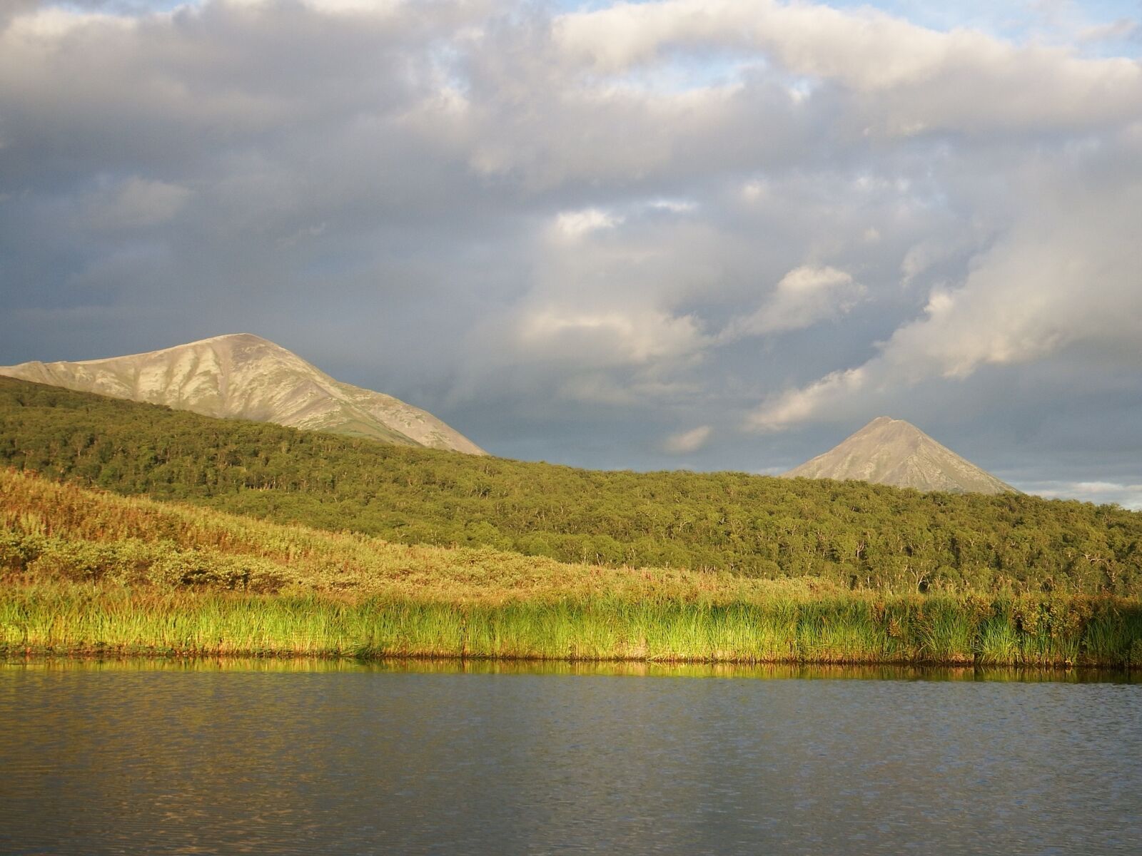 Fujifilm FinePix S1 sample photo. Lake, mountains, forest photography