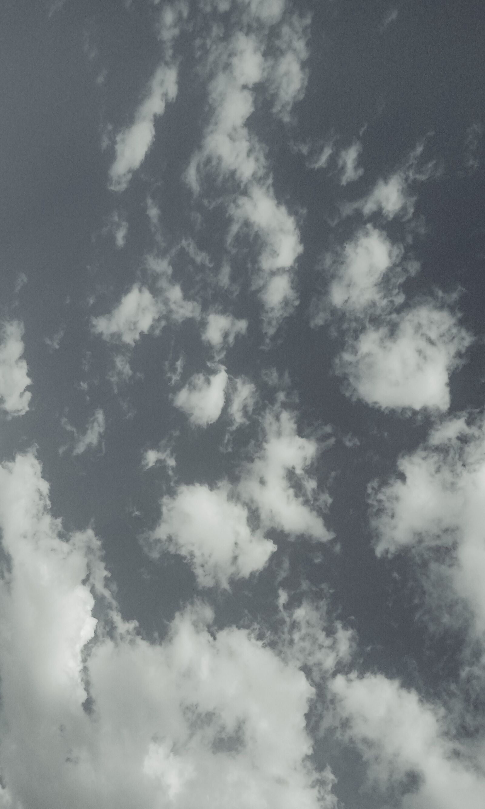 Realme C2 sample photo. Cloudy sky, dark background photography