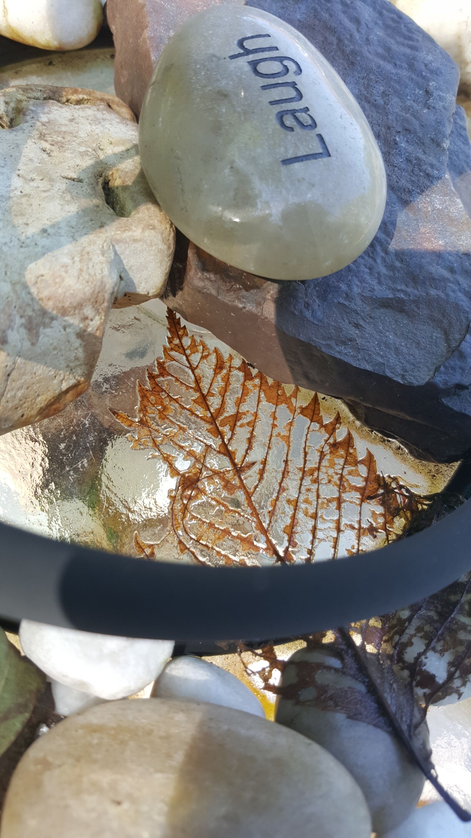 Samsung Galaxy Note5 sample photo. Laugh, leaf, stones photography