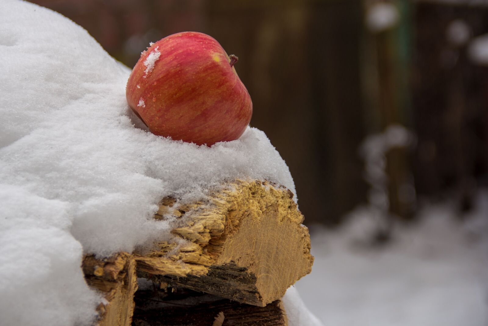 Canon EOS 60D sample photo. Apple, snow, firewood photography