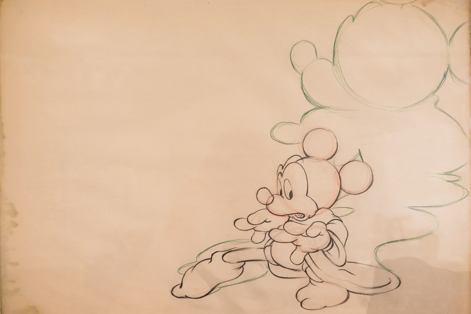 Sony Cyber-shot DSC-RX100 III sample photo. Micky mouse, walt disney photography