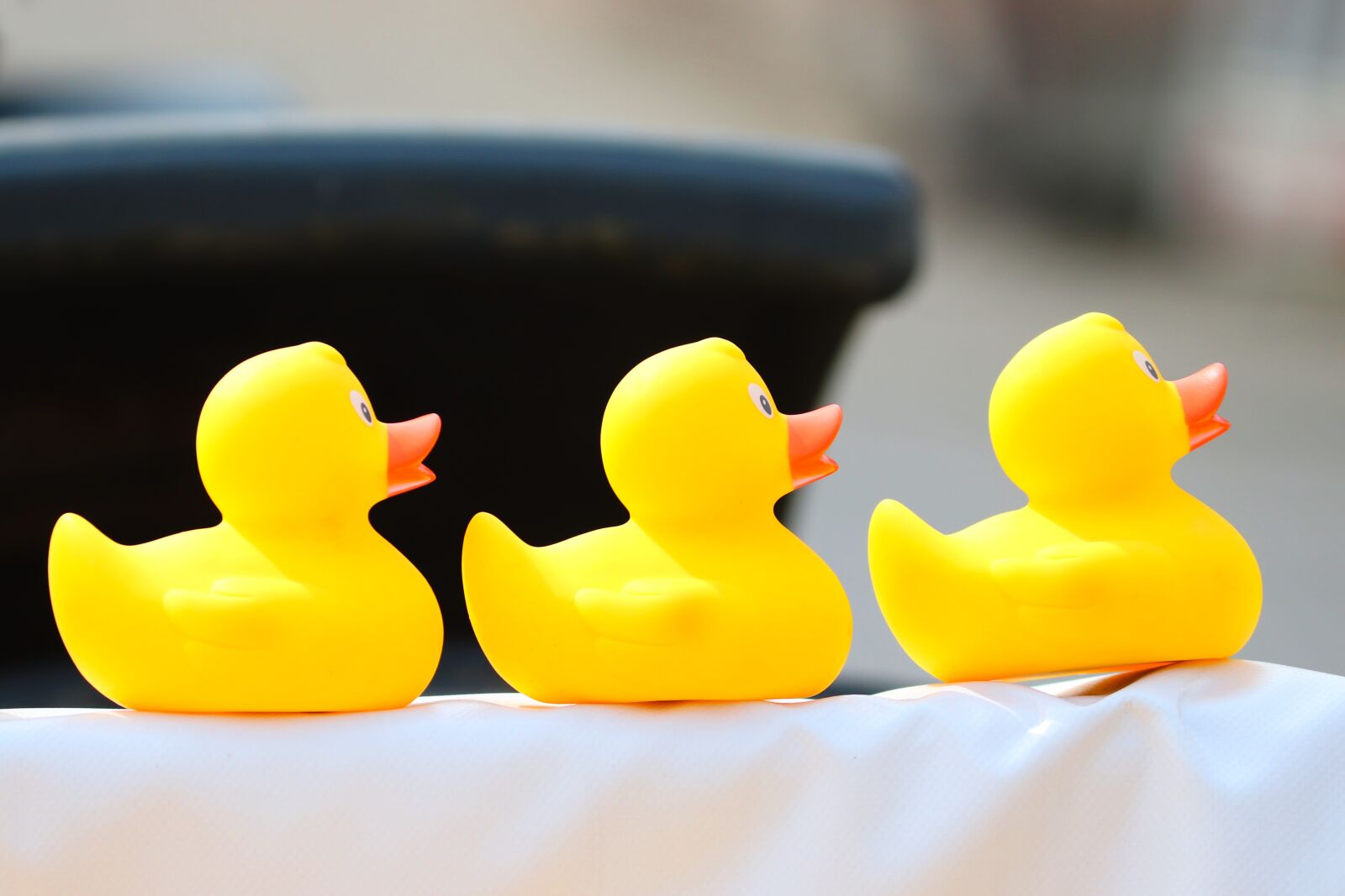Canon EOS 200D (EOS Rebel SL2 / EOS Kiss X9) sample photo. Duck meet, ducks, rubber photography