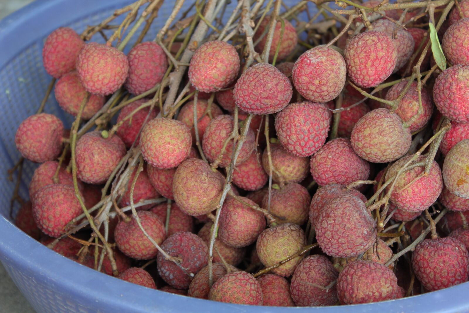 Canon EOS 600D (Rebel EOS T3i / EOS Kiss X5) sample photo. Litchi, fruit, taiwan photography