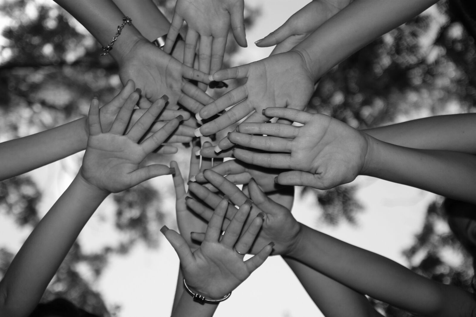 Canon EOS 450D (EOS Rebel XSi / EOS Kiss X2) sample photo. Hands, friendship, unit photography