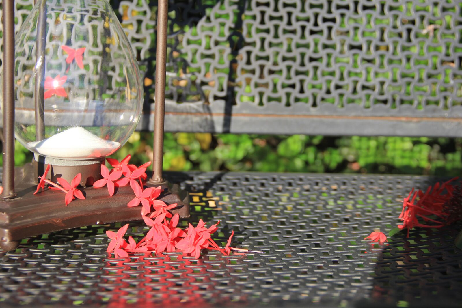 Canon EOS 60D sample photo. Flowers, clock, hourglass photography