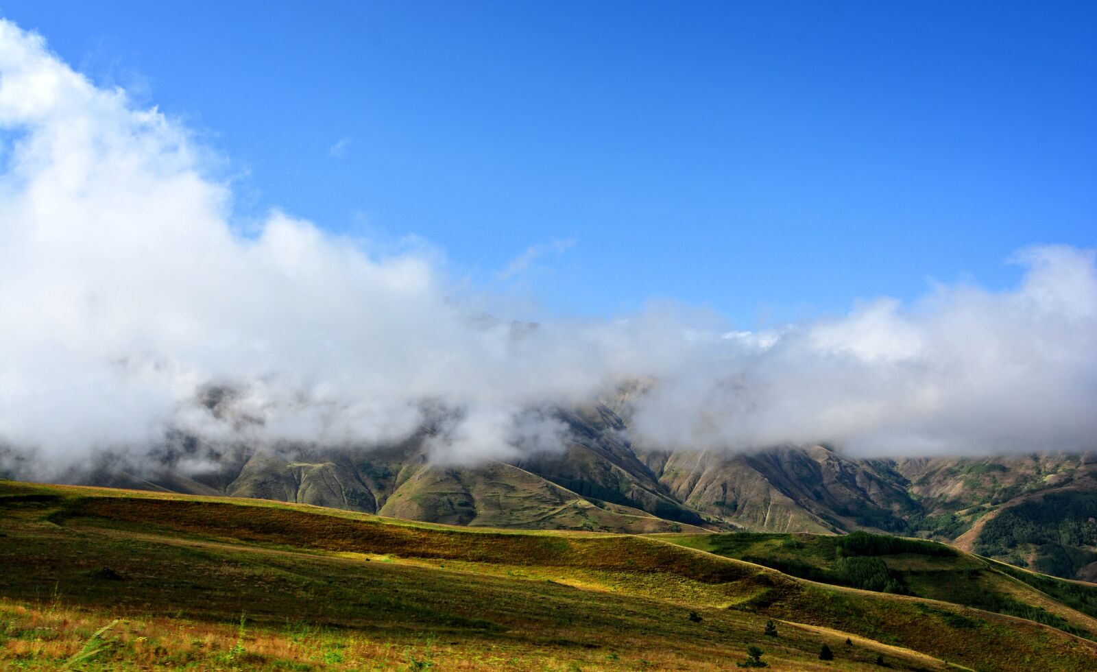 Nikon D7100 sample photo. Cloud, fog, landscape photography