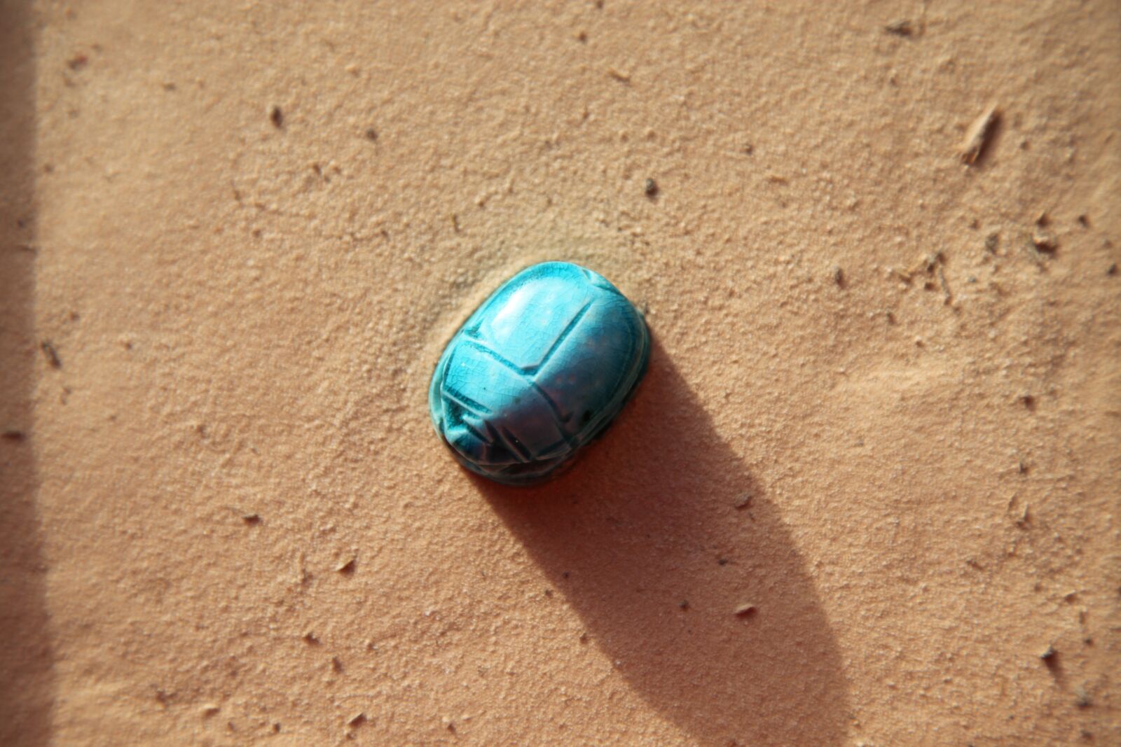 Canon EOS 5D Mark II sample photo. Scarab, sand, insect photography