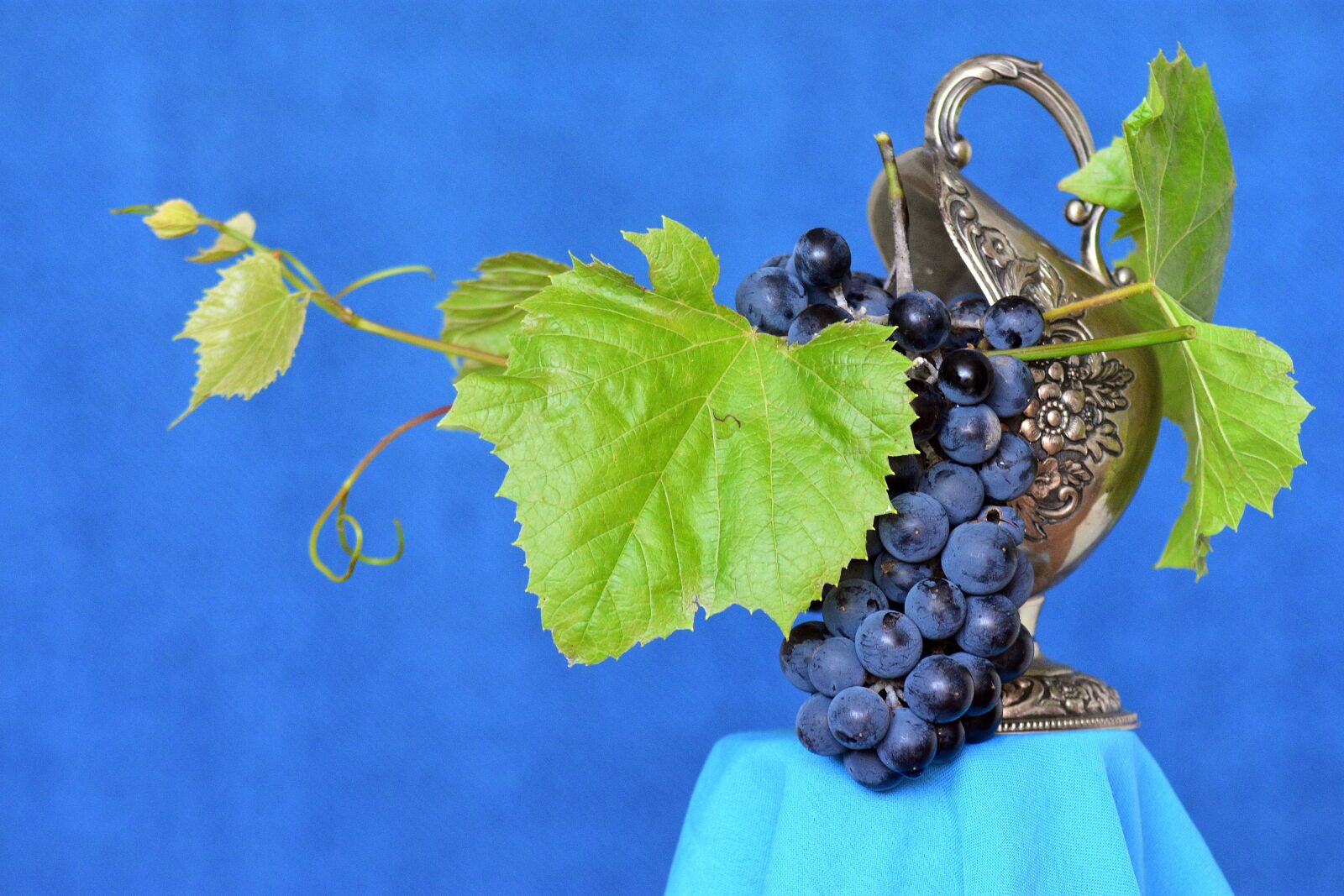 Nikon D3400 sample photo. Bunch of grapes, spray photography