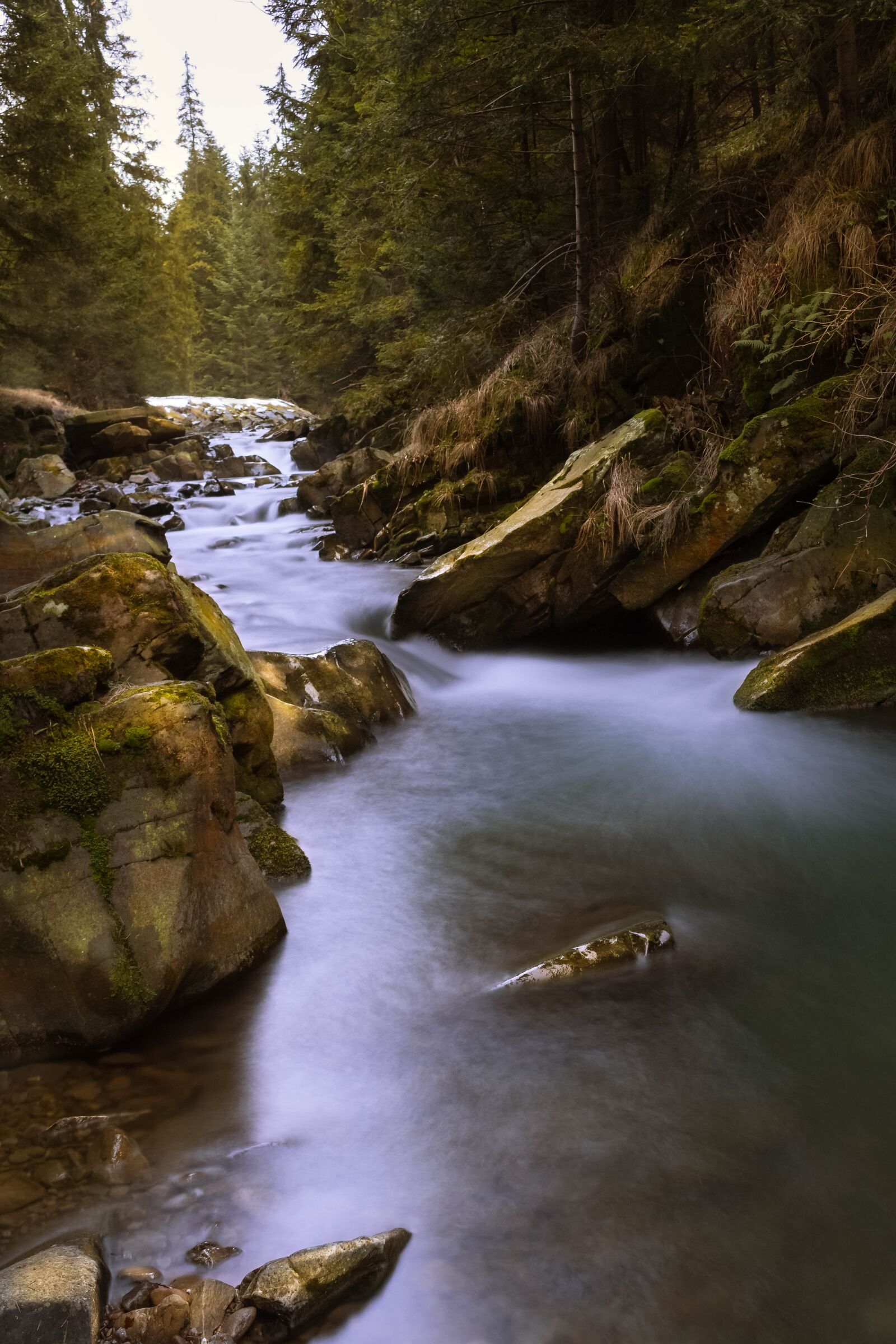Canon EOS 700D (EOS Rebel T5i / EOS Kiss X7i) sample photo. River, landscape, forest photography