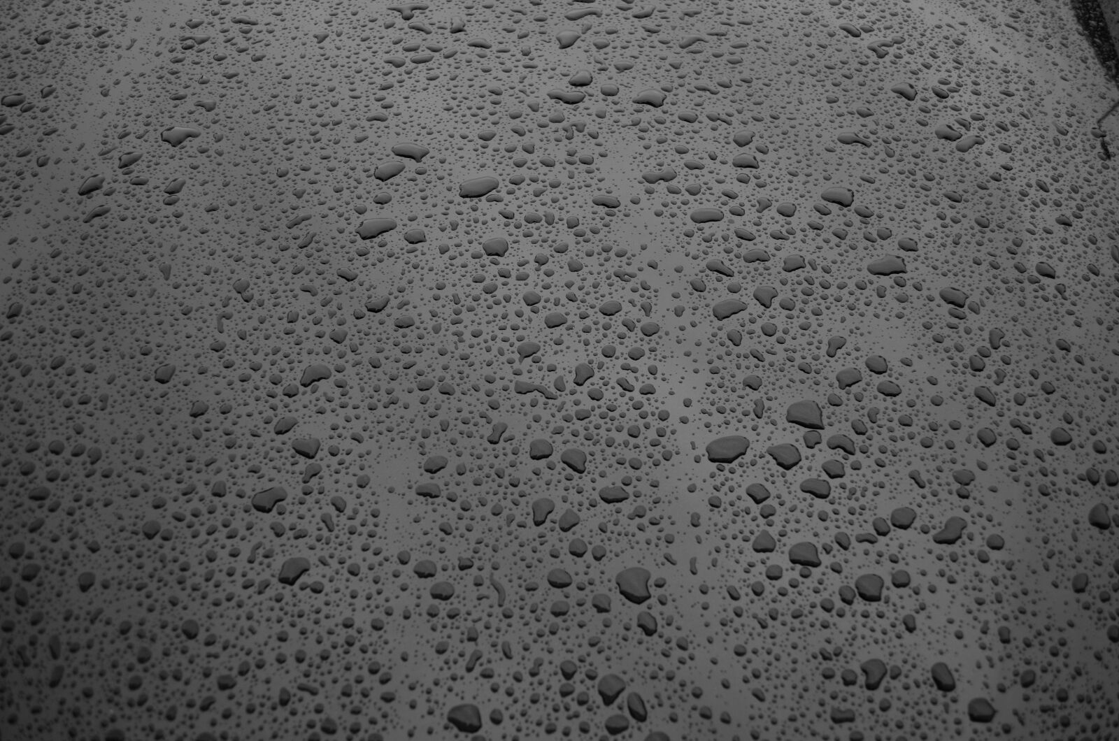 Nikon D5100 sample photo. Water, splash, drop photography